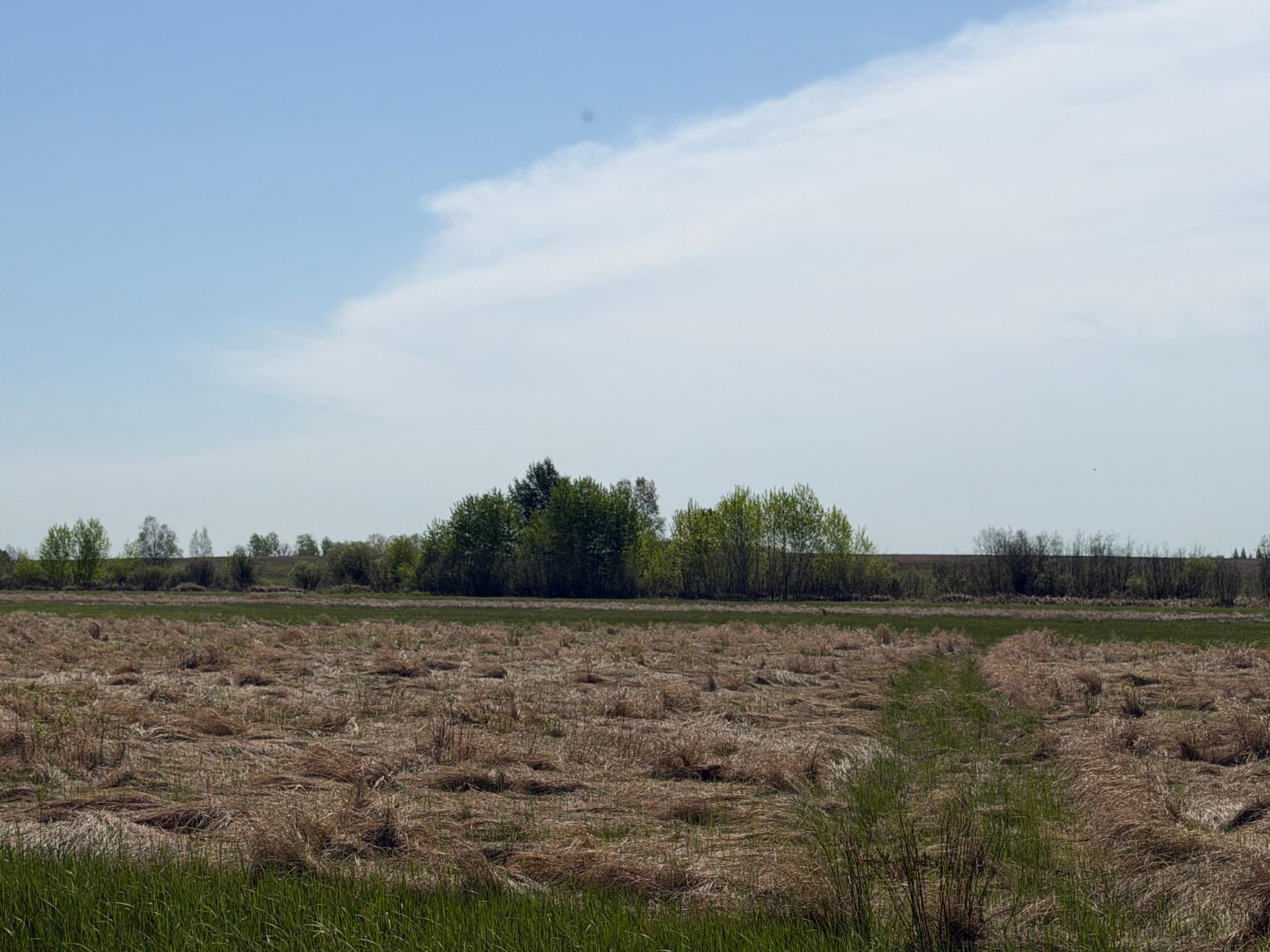 Tbd County Road 14 Property Photo 66