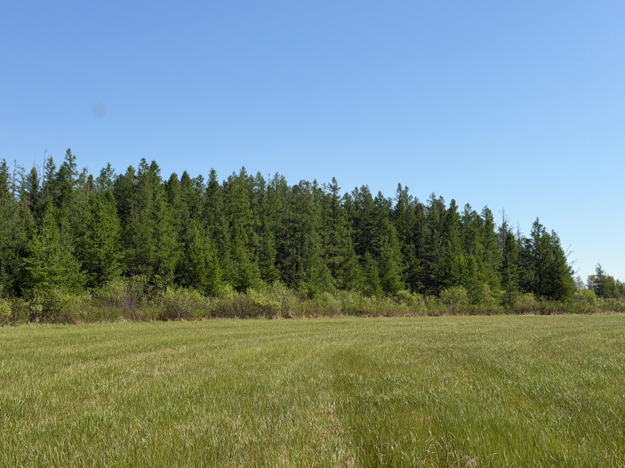 Tbd County Road 14 Property Photo 67