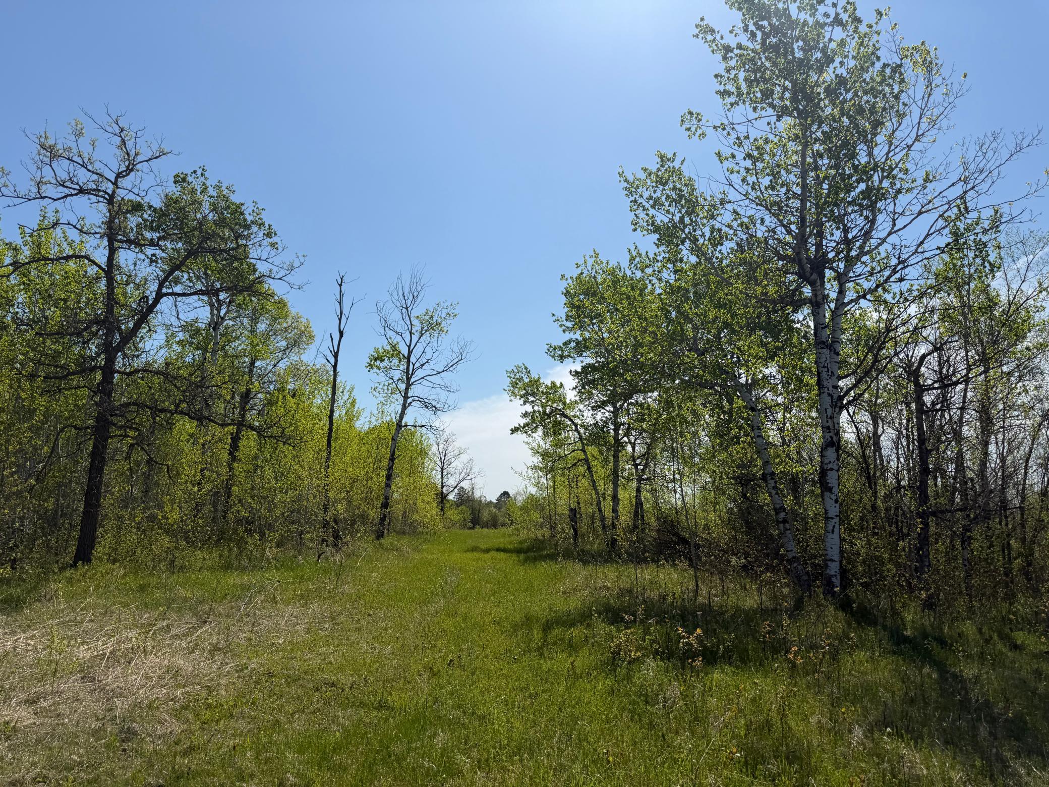 Tbd County Road 14 Property Photo 73