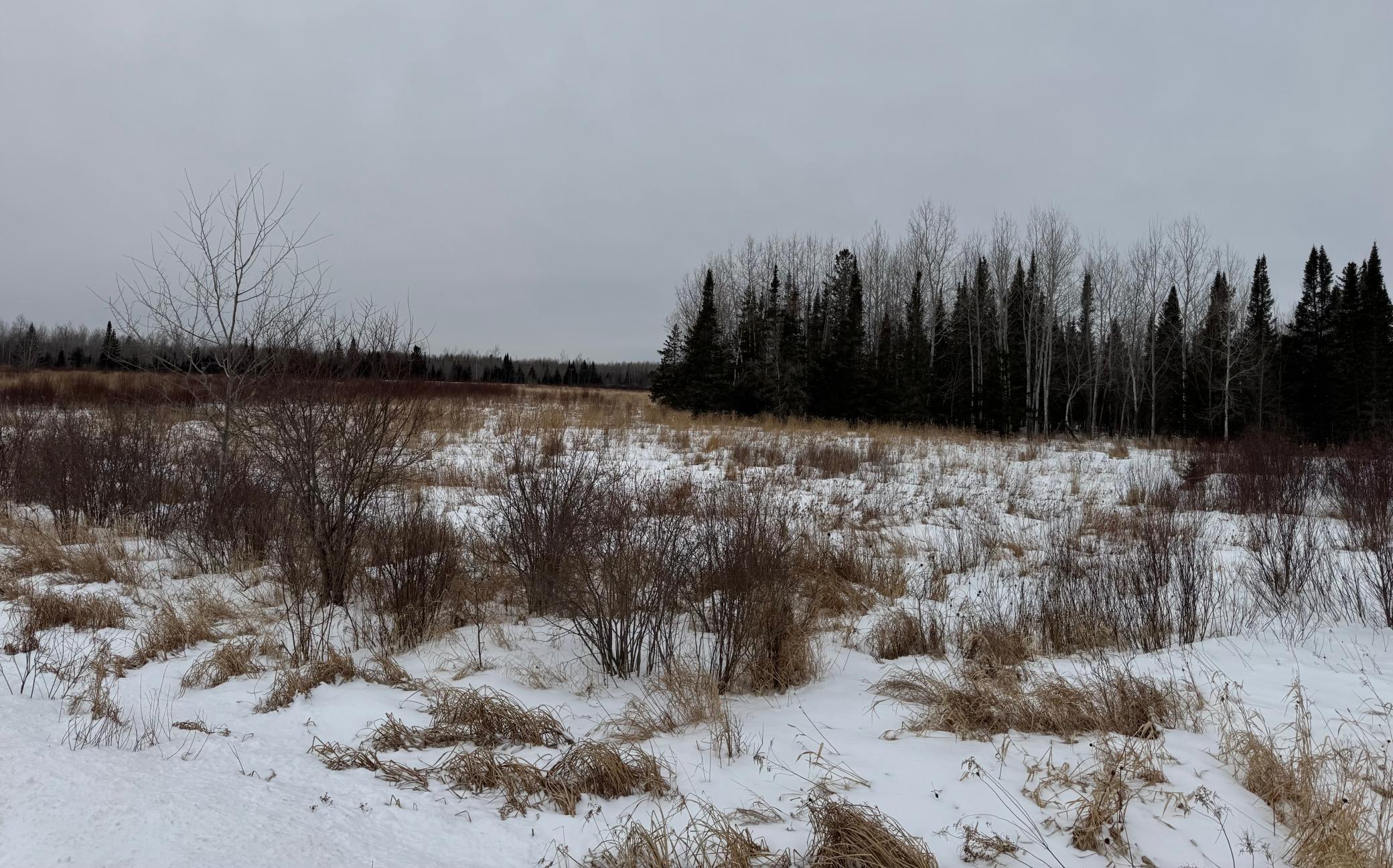 Tbd White Road Property Photo 4