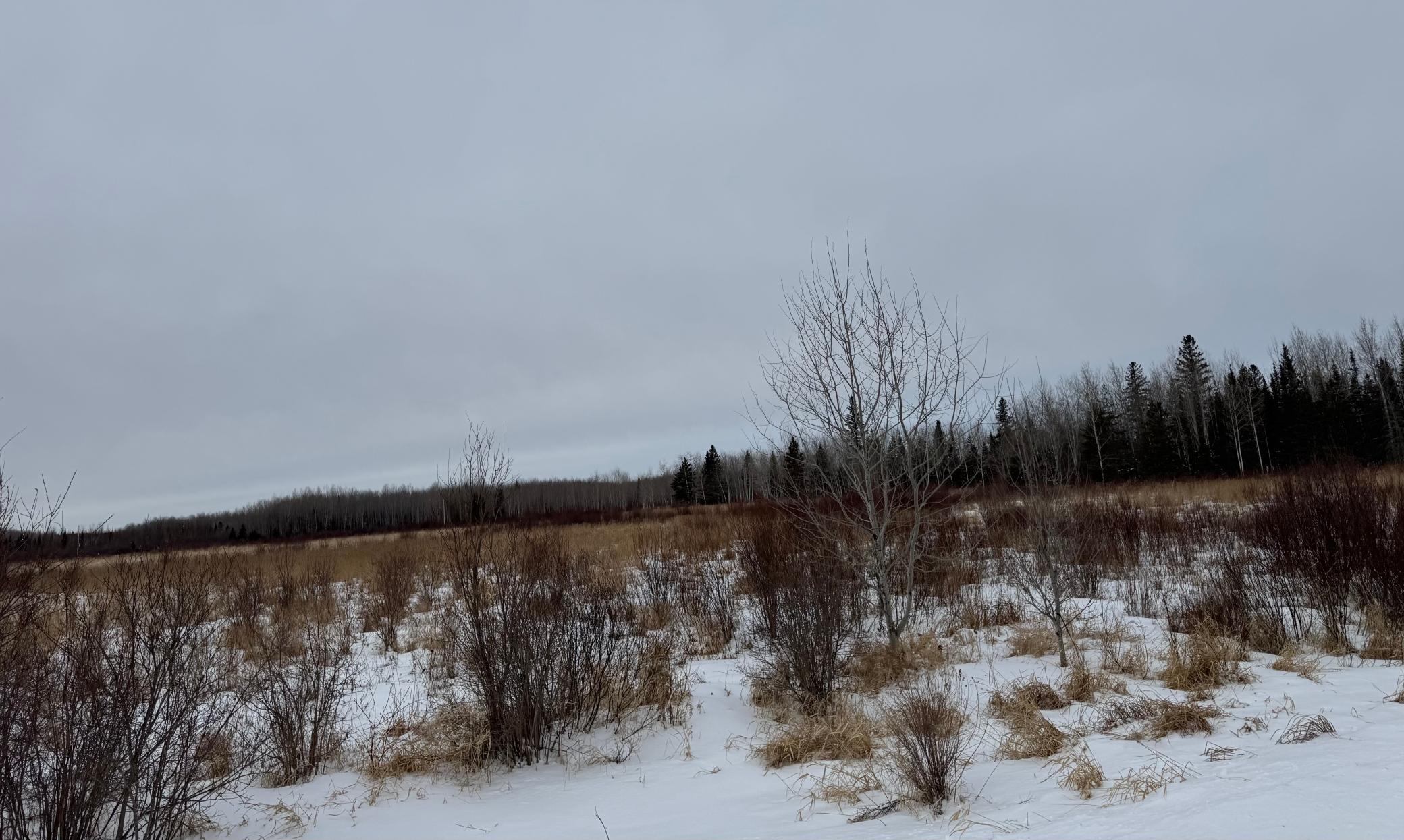 Tbd White Road Property Photo 5
