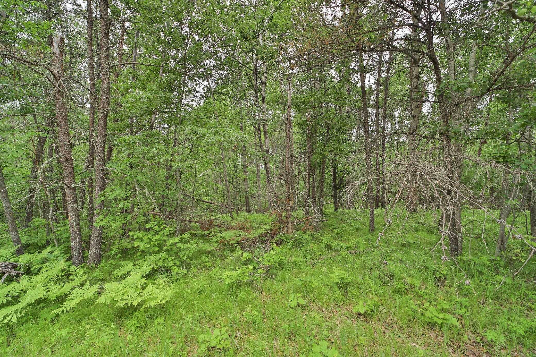 Lot 15 Cedar Street Property Photo 5