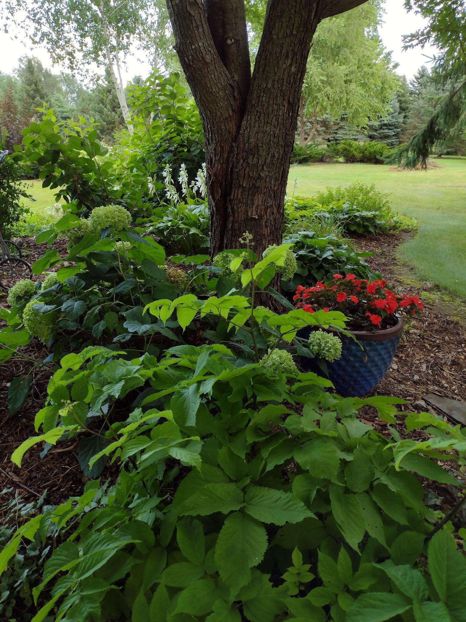 3680 Arlington Lane Se Property Photo 55