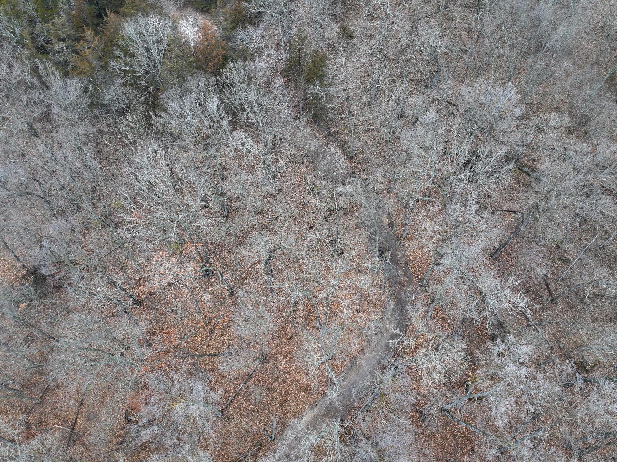 Tbd County 26 Property Photo 6