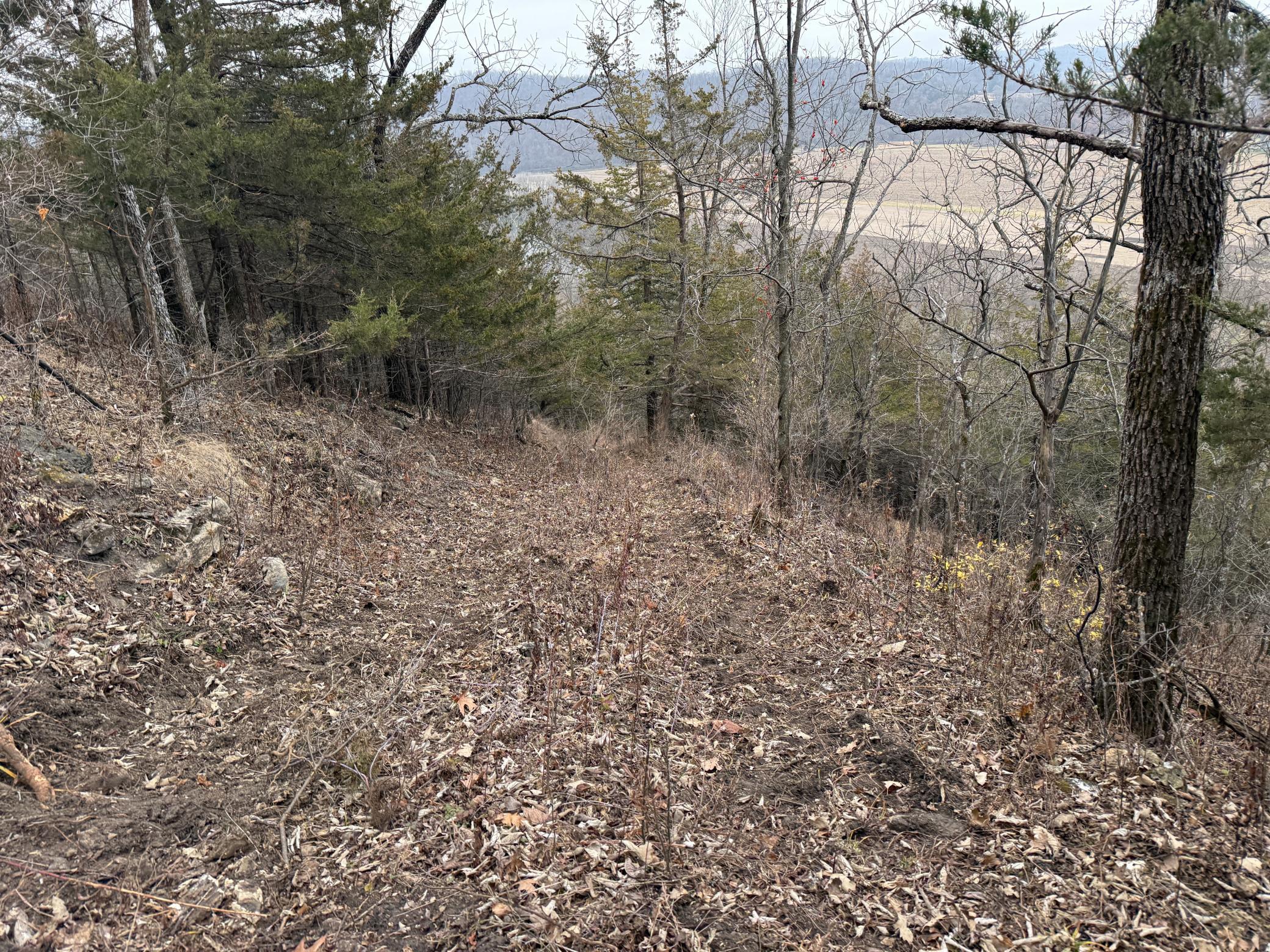 Tbd County 26 Property Photo 8