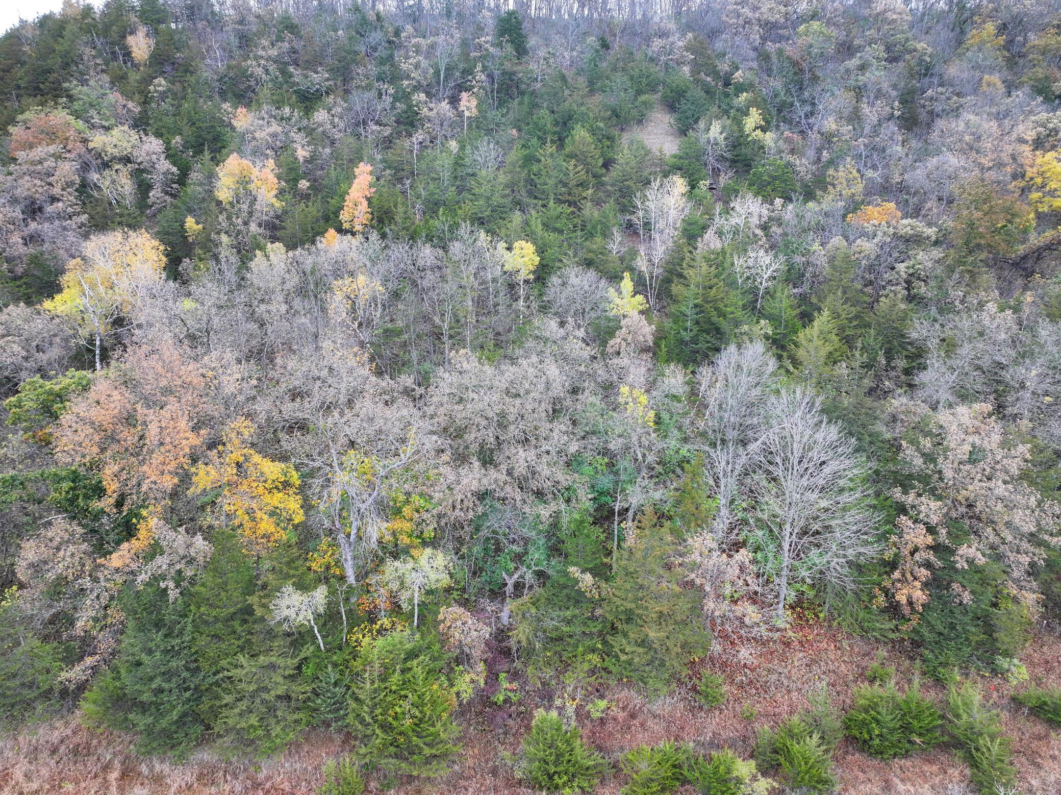 Tbd County 26 Property Photo 20