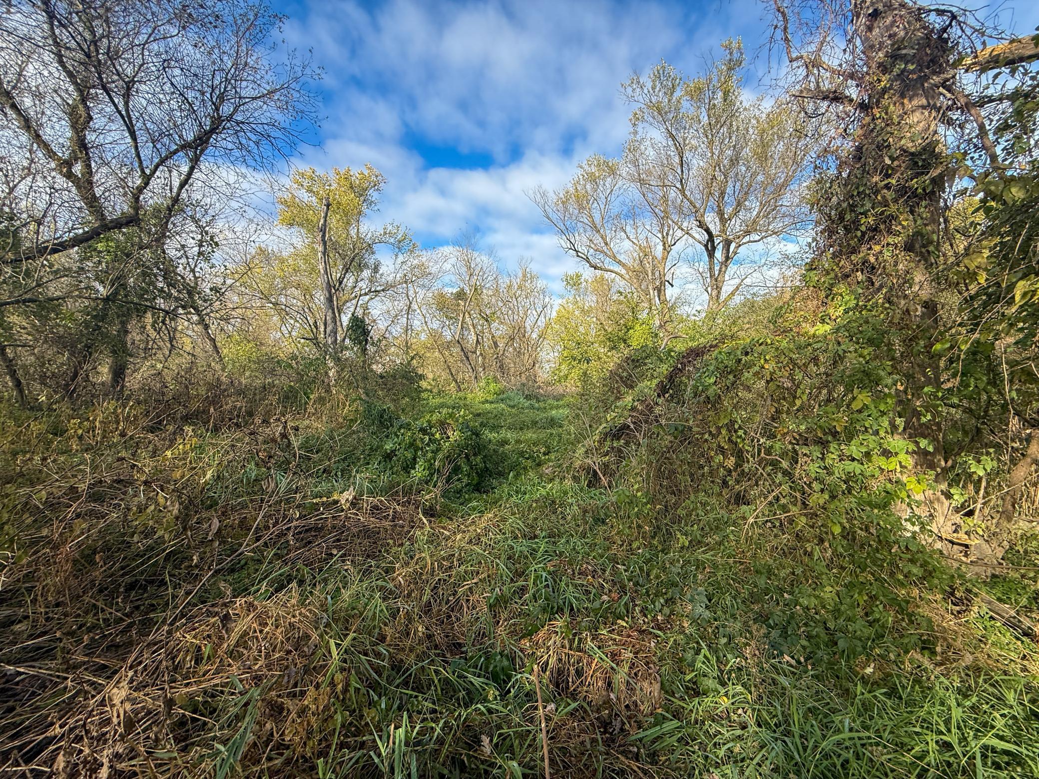 Tbd County 26 Property Photo 25