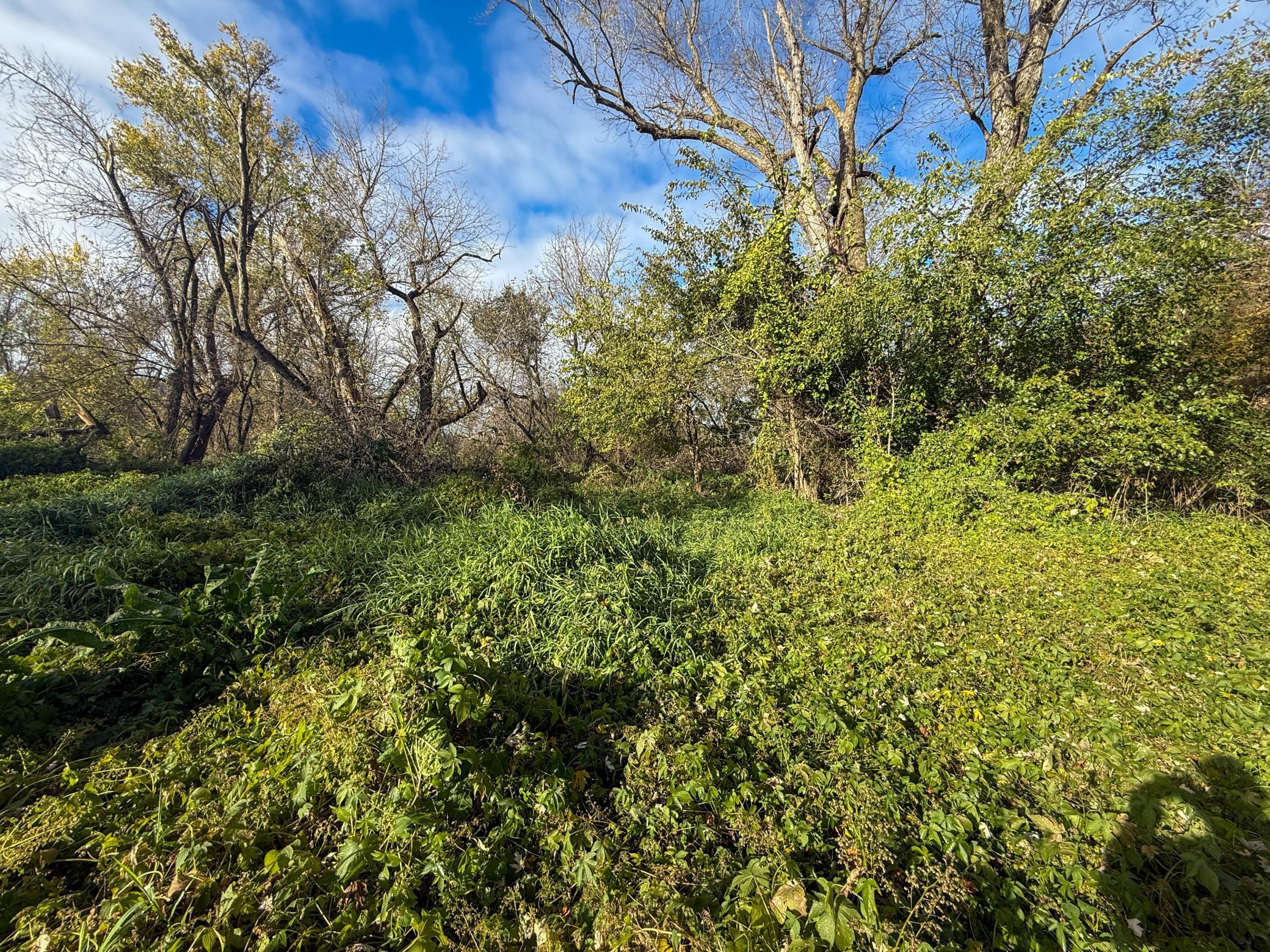 Tbd County 26 Property Photo 31