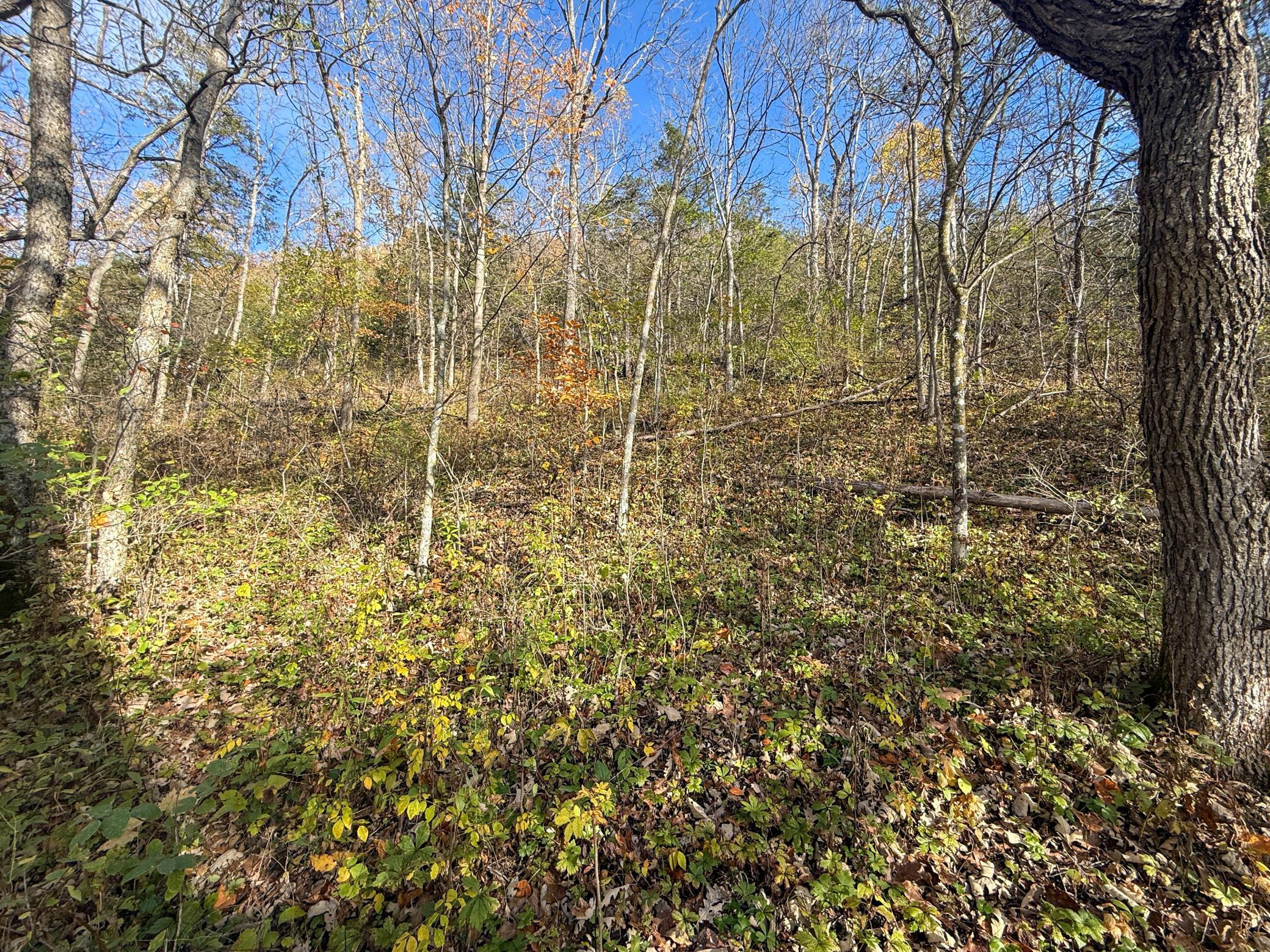 Tbd County 26 Property Photo 34