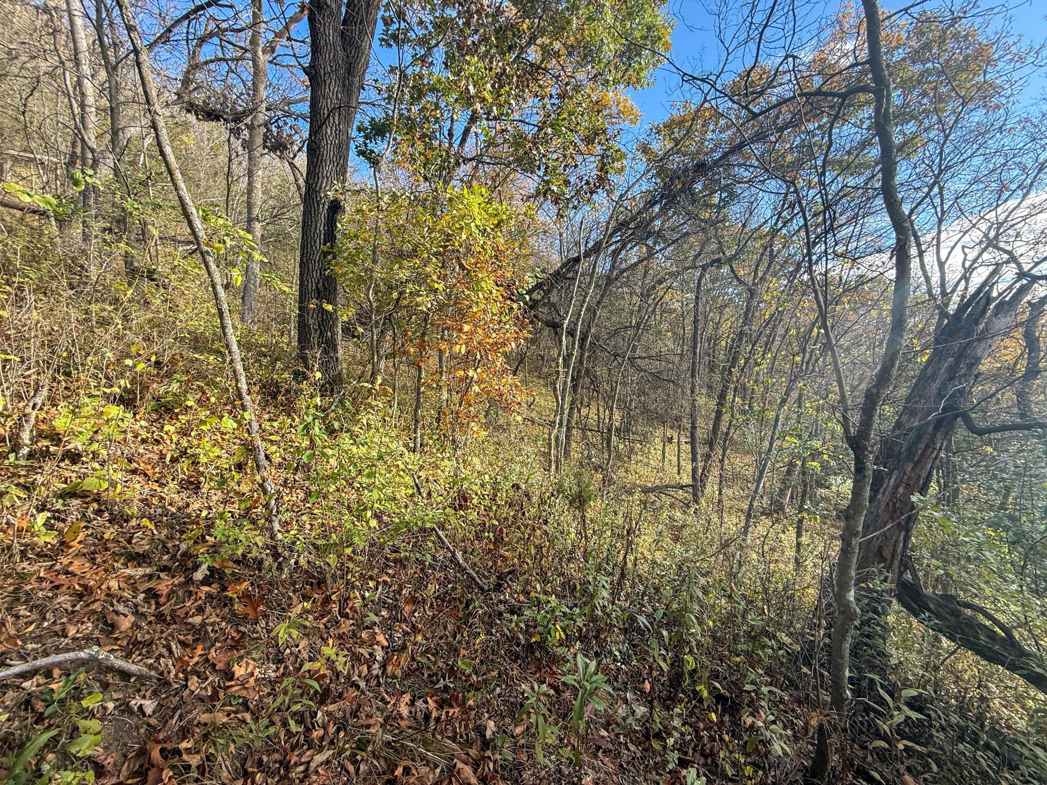 Tbd County 26 Property Photo 36