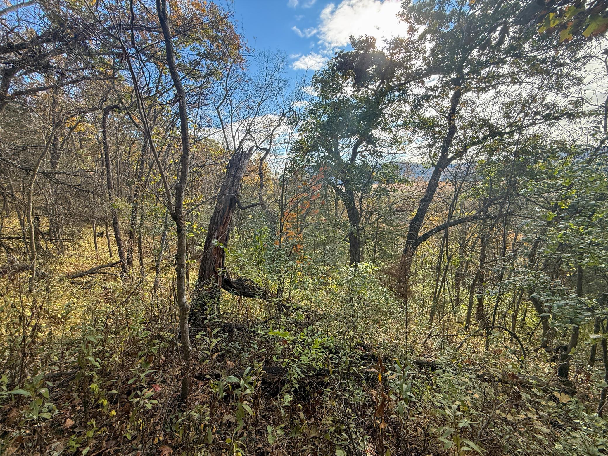 Tbd County 26 Property Photo 37