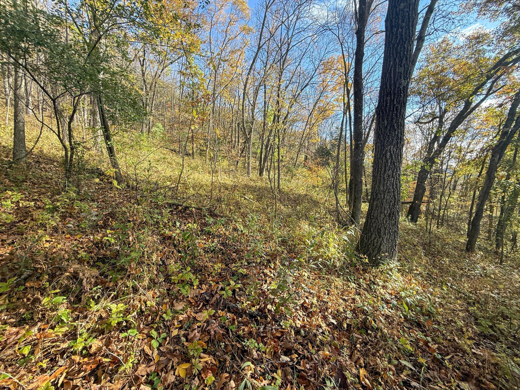 Tbd County 26 Property Photo 38