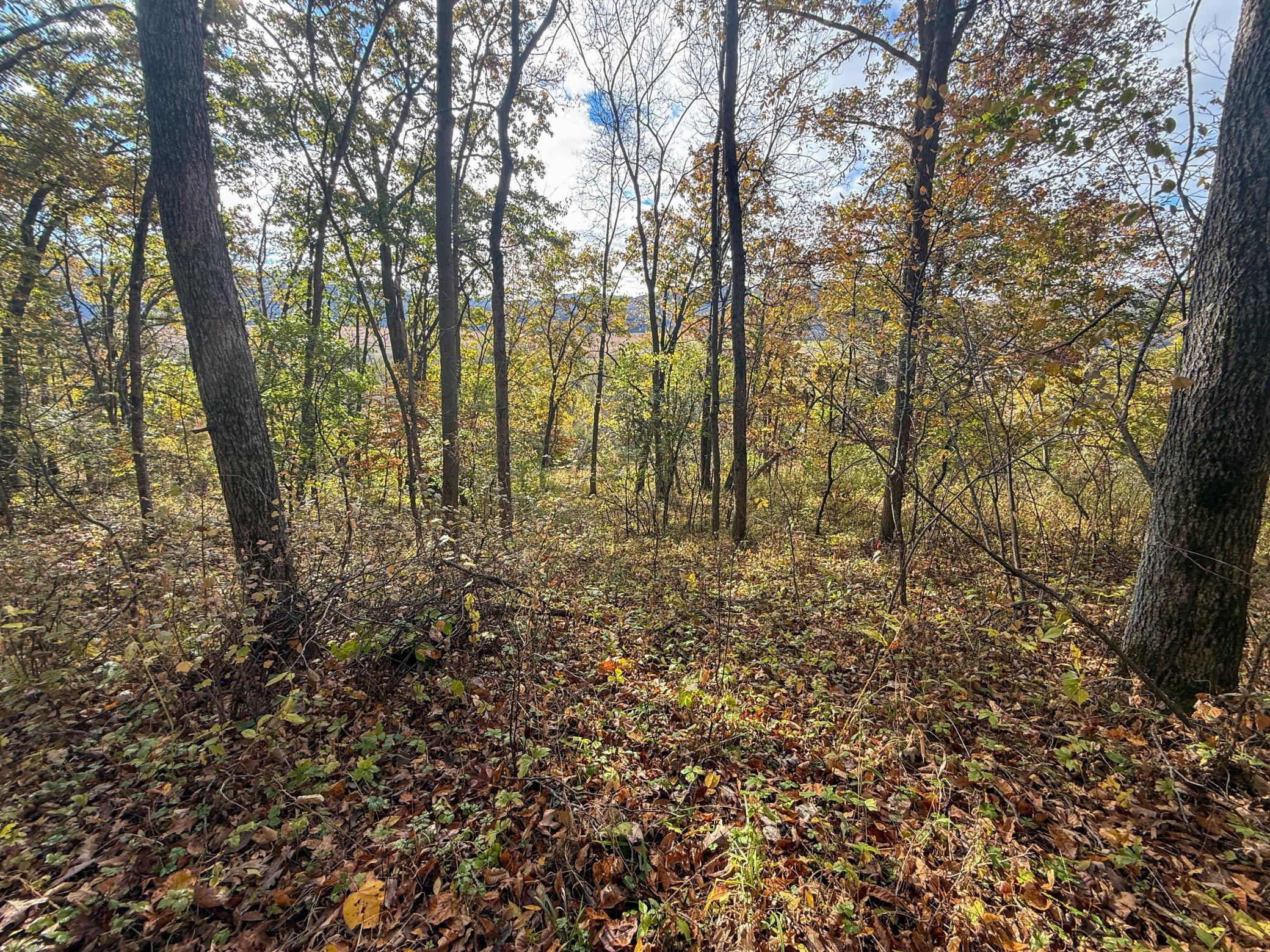 Tbd County 26 Property Photo 39