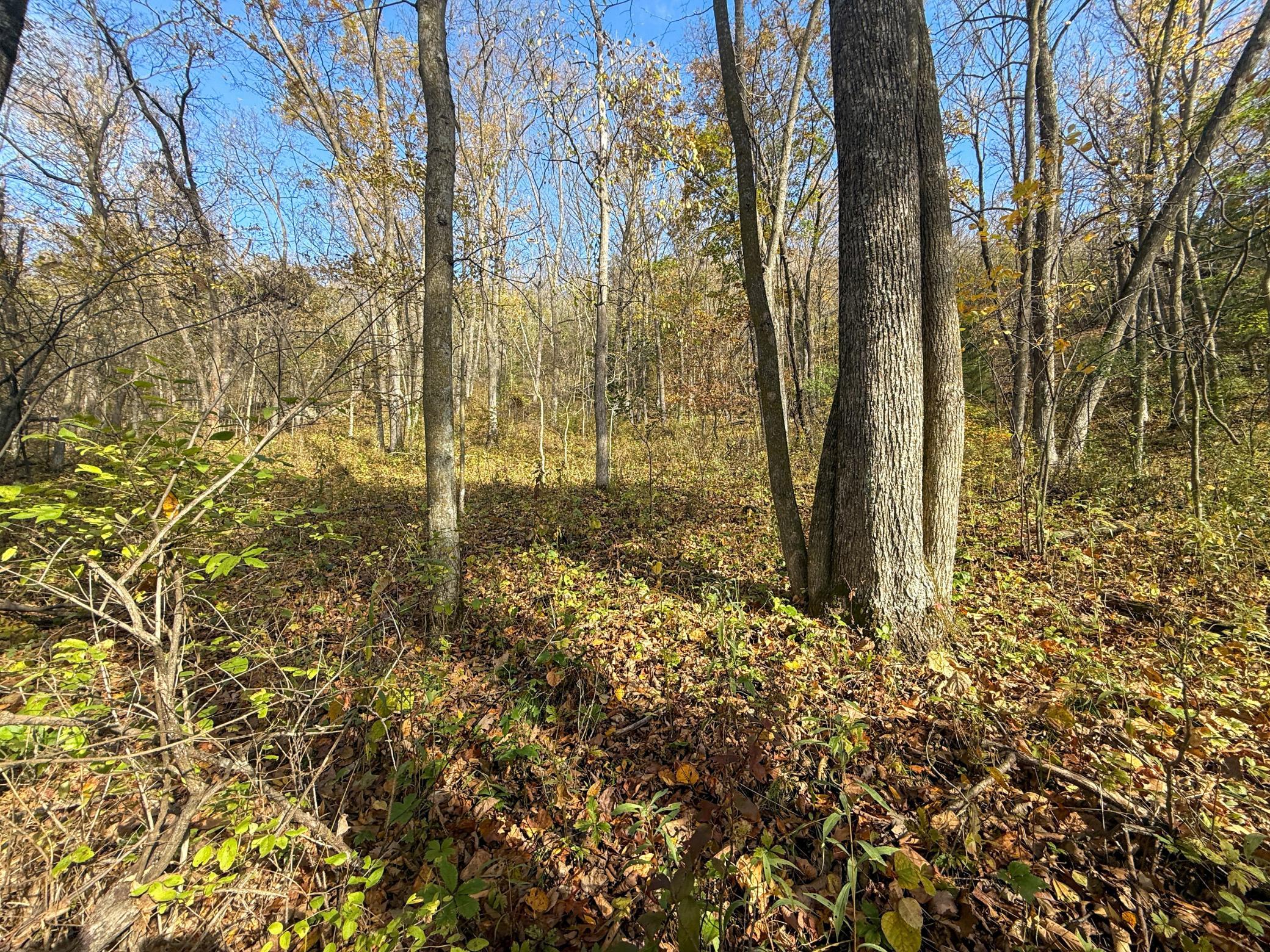 Tbd County 26 Property Photo 40