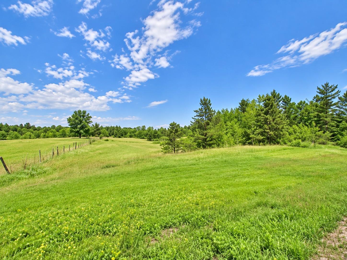 Lot B County Road 134 Property Photo 1
