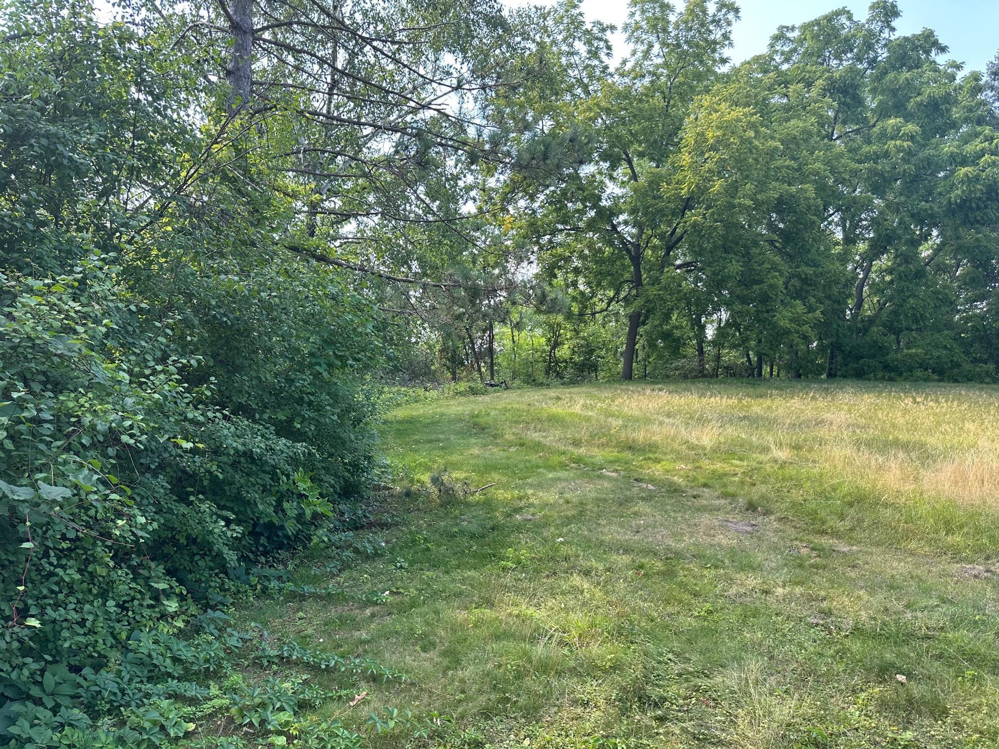 1955 Glenhill Road Property Photo 10