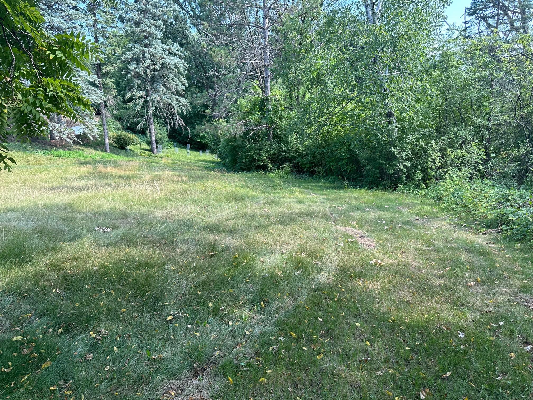 1955 Glenhill Road Property Photo 11