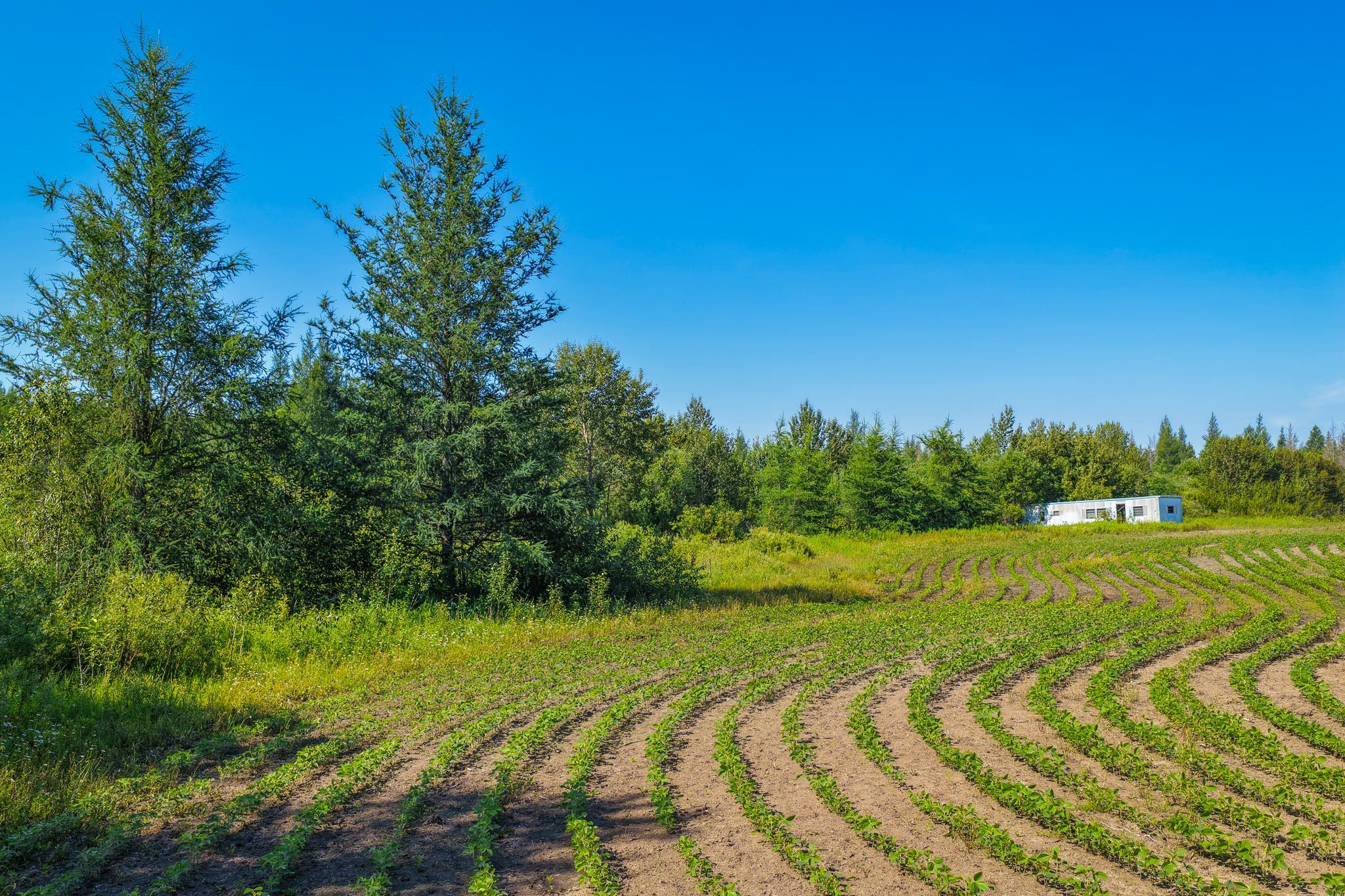 Tbd Three Mile Road Ne Property Photo 10