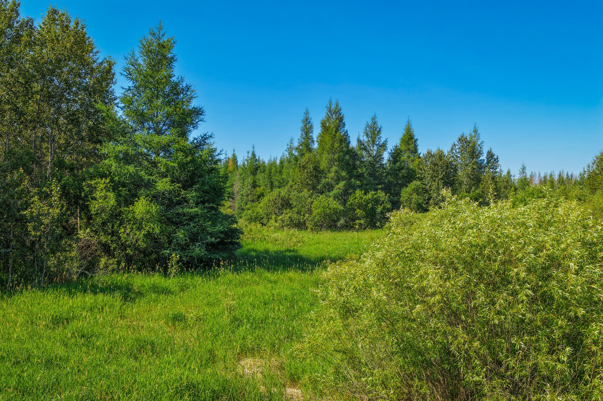 Tbd Three Mile Road Ne Property Photo 11