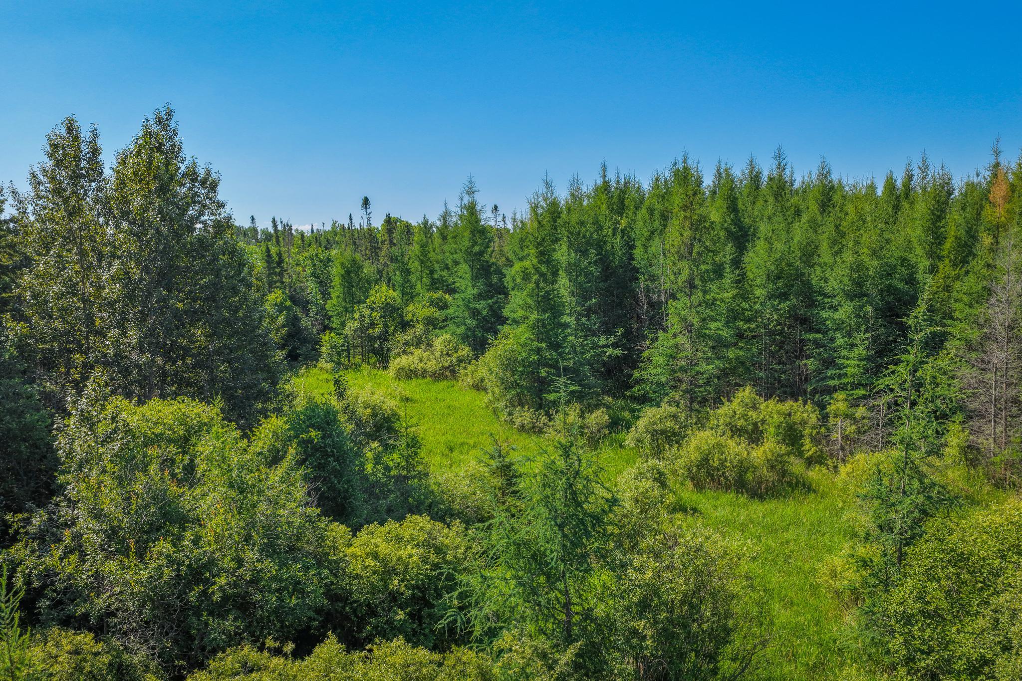 Tbd Three Mile Road Ne Property Photo 12