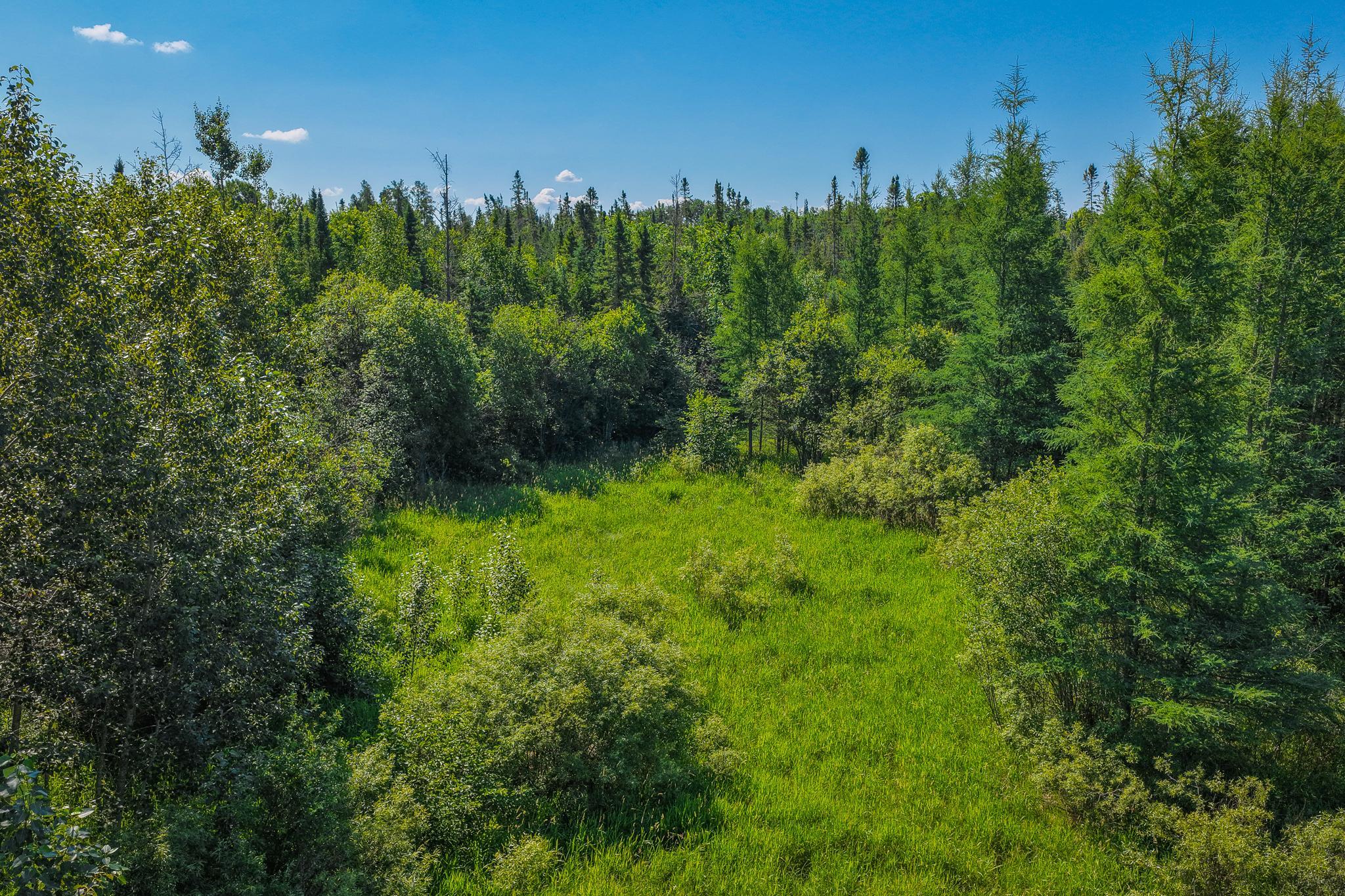 Tbd Three Mile Road Ne Property Photo 13