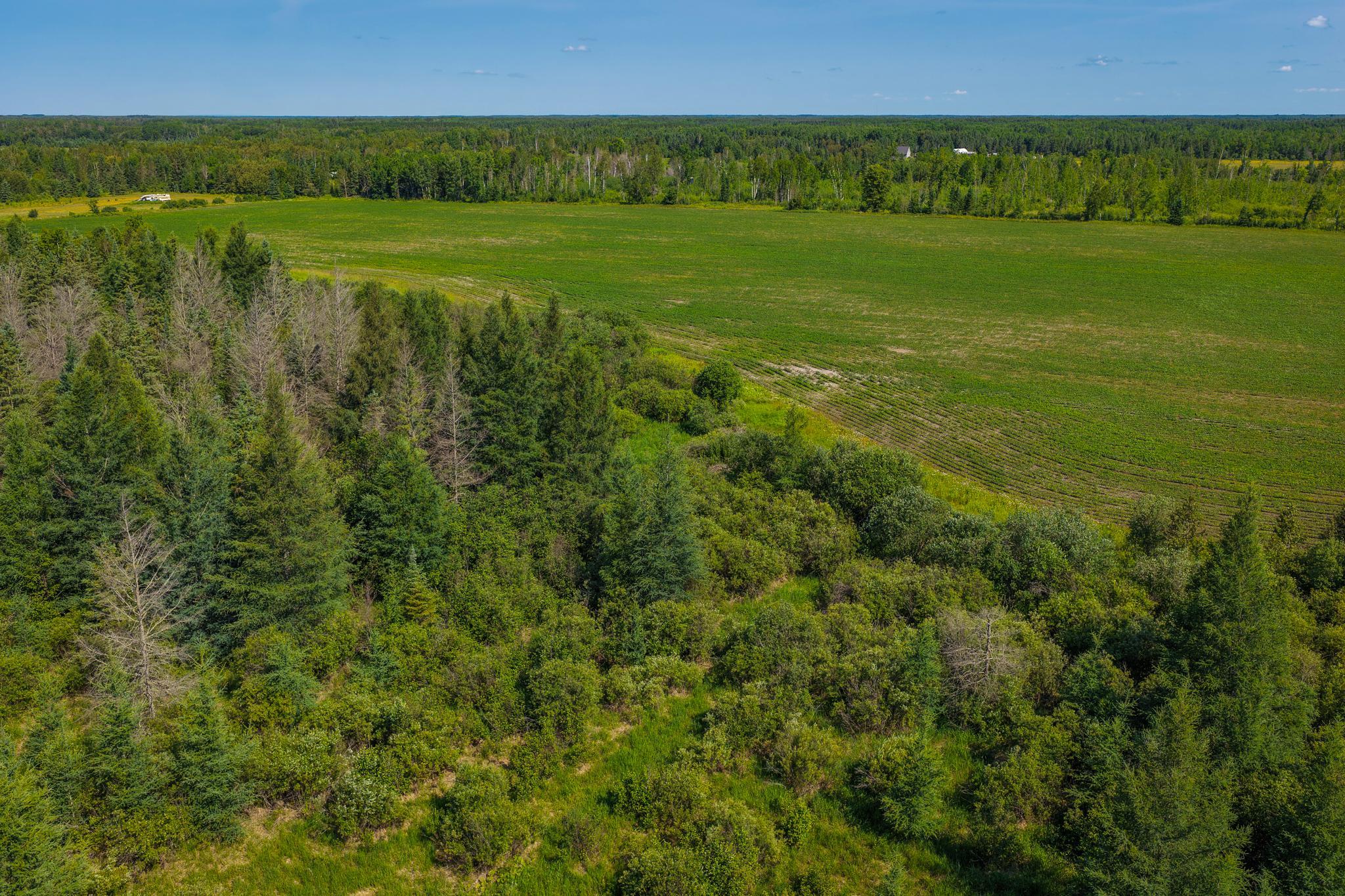 Tbd Three Mile Road Ne Property Photo 14