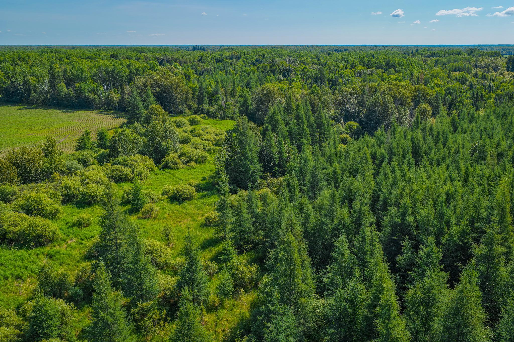 Tbd Three Mile Road Ne Property Photo 15