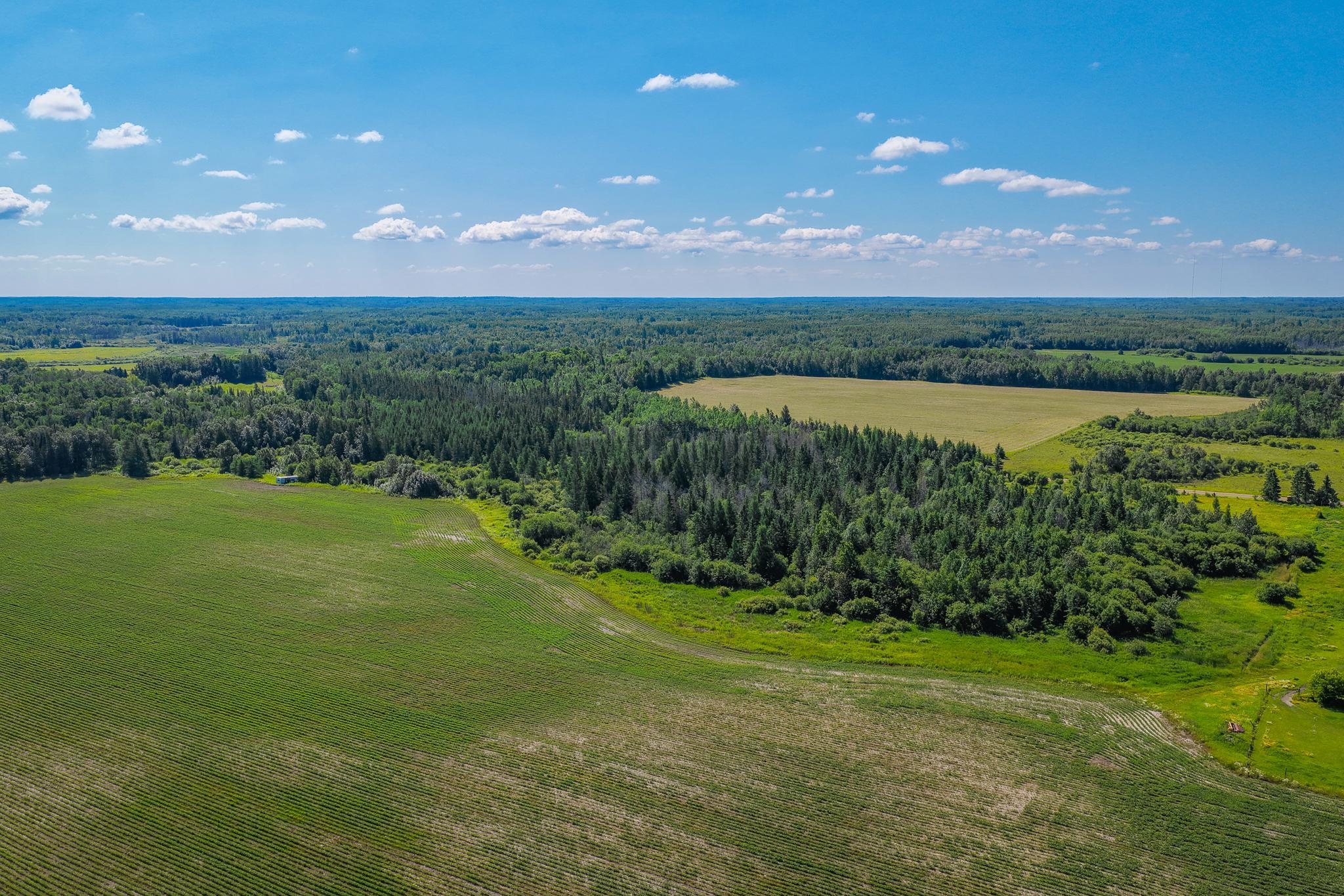 Tbd Three Mile Road Ne Property Photo 16