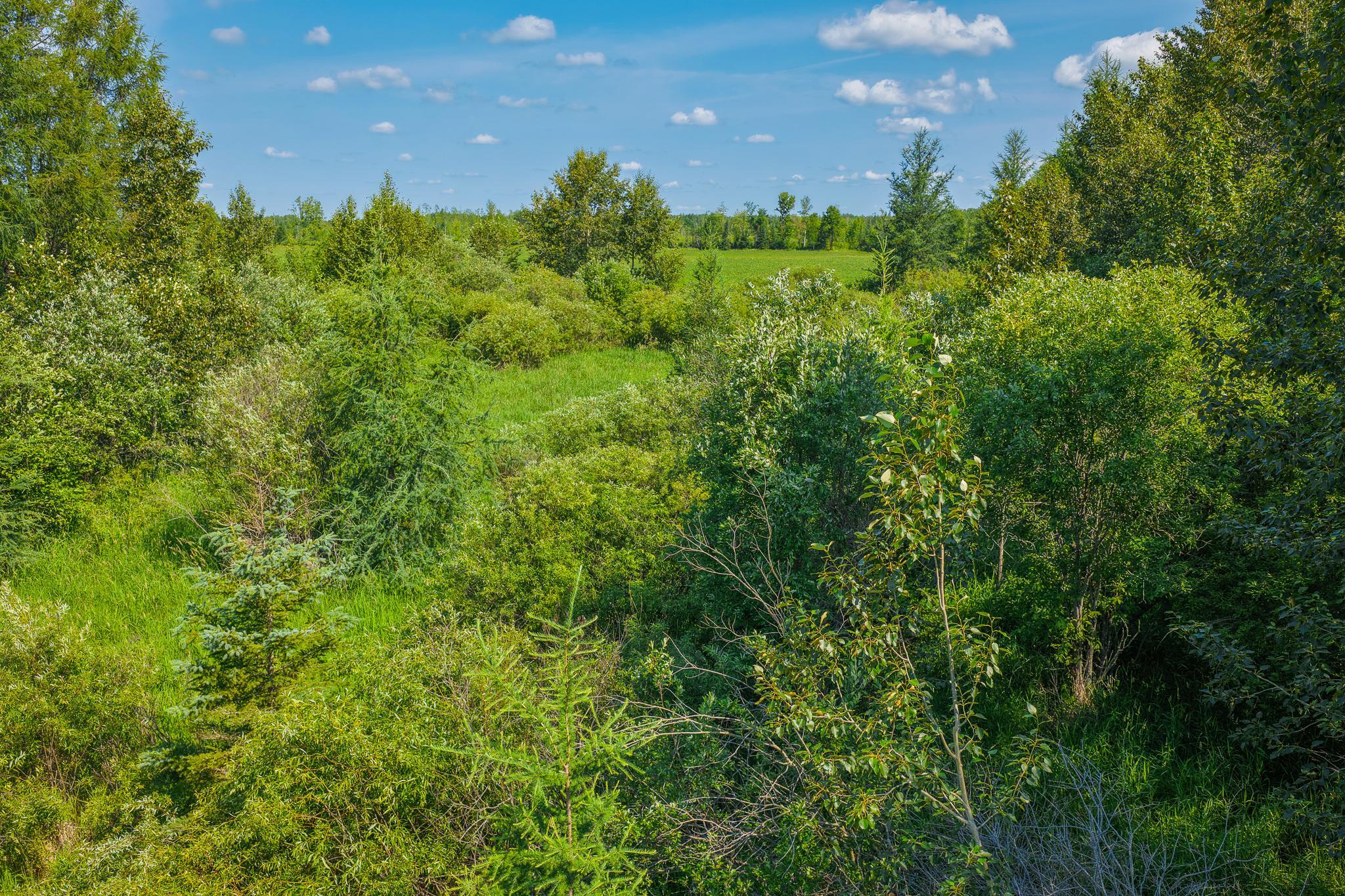 Tbd Three Mile Road Ne Property Photo 18