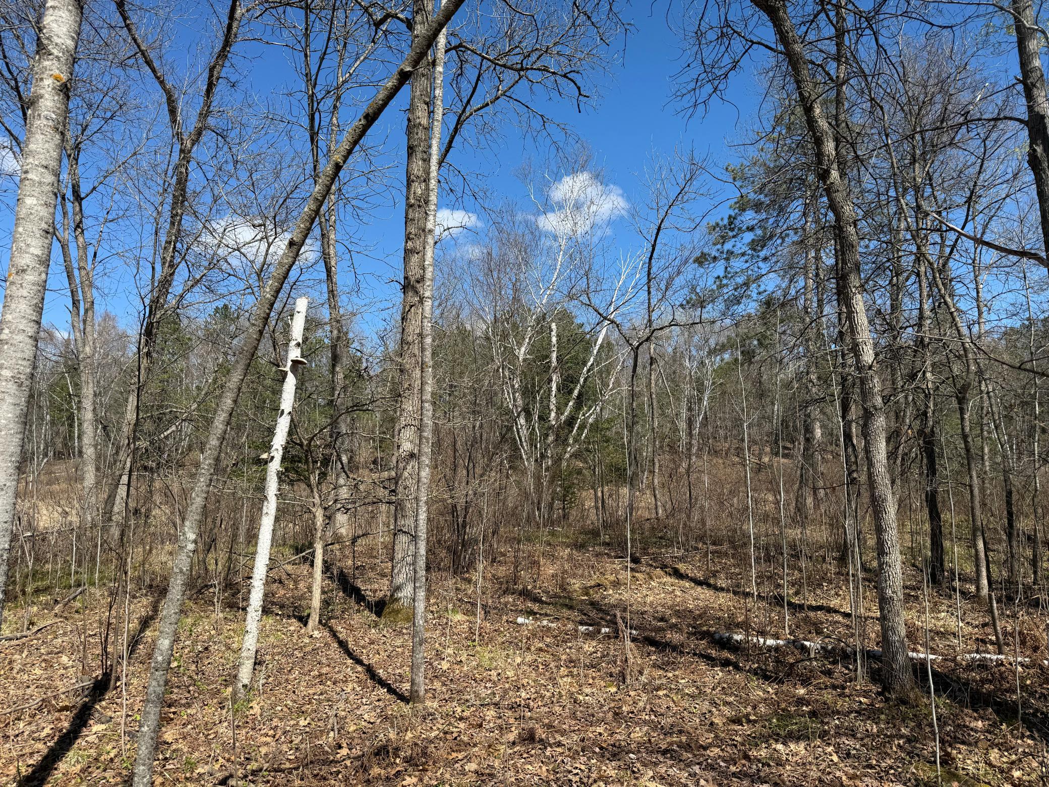 Lot 7 Block 1 Yellow Birch Ln Property Photo 1