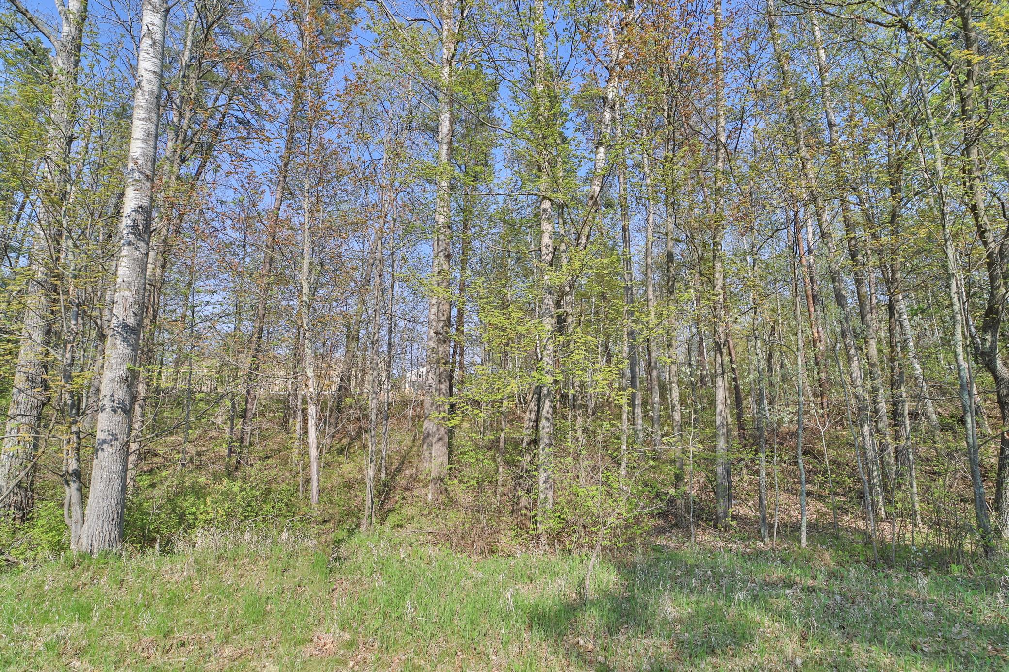 Lots 5, 6, 7 Terminal Road Property Photo 4