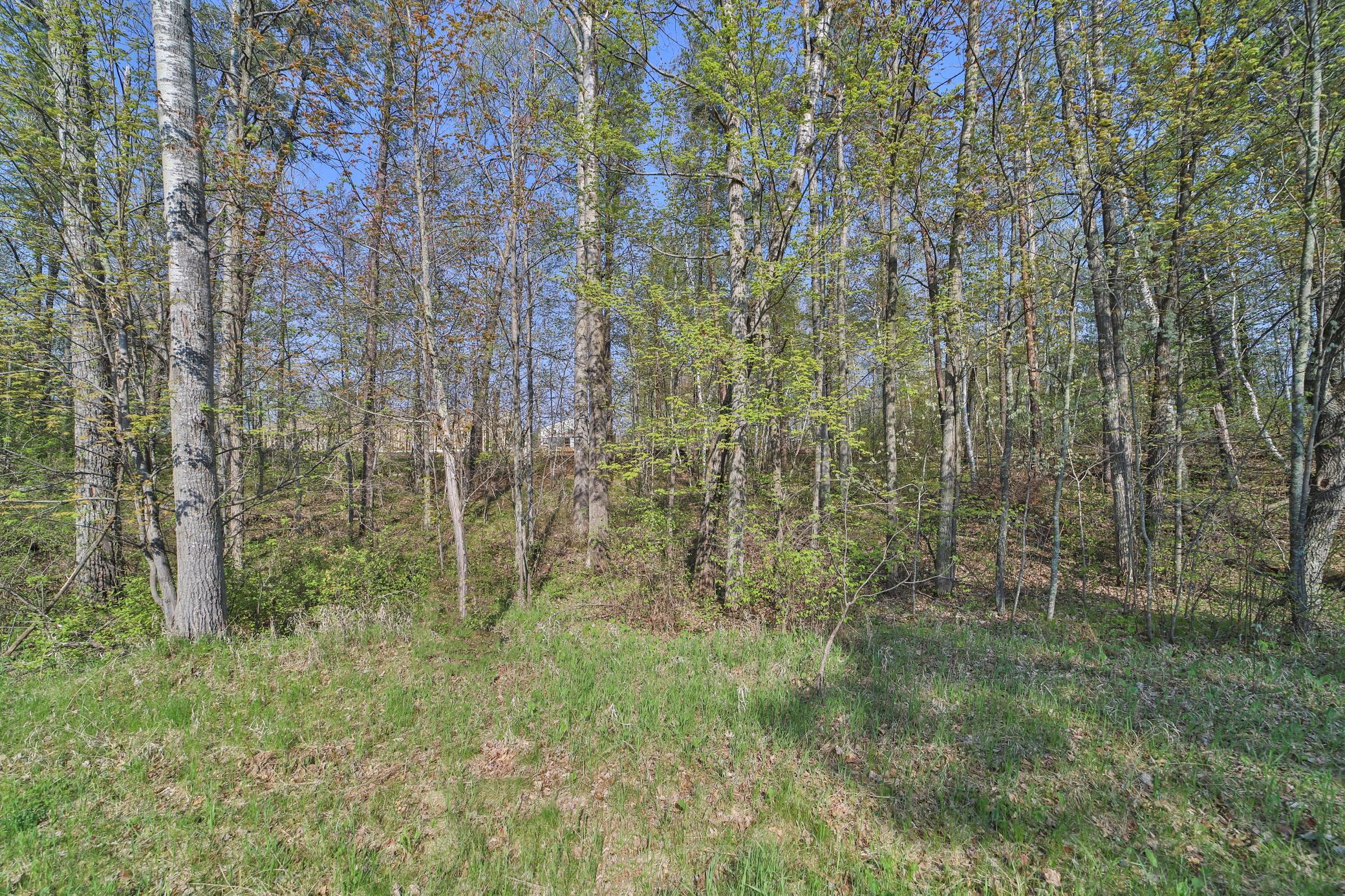 Lots 5, 6, 7 Terminal Road Property Photo 9