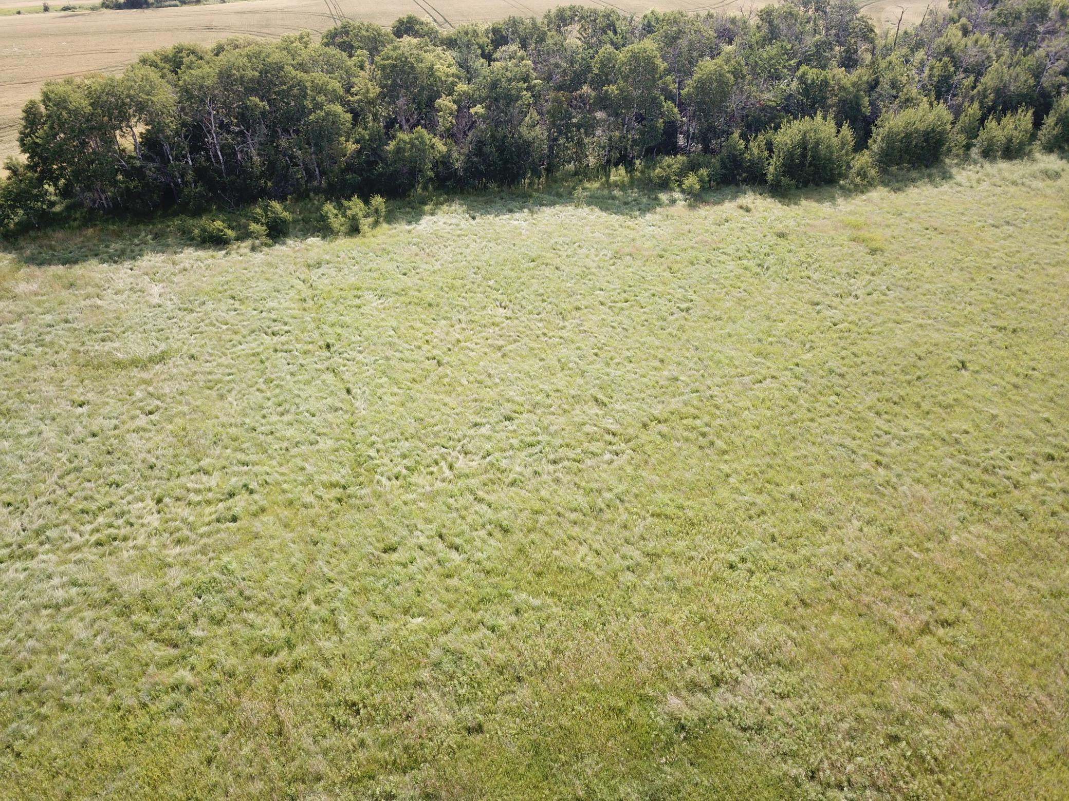 Tbd Hwy 10 Property Photo 16