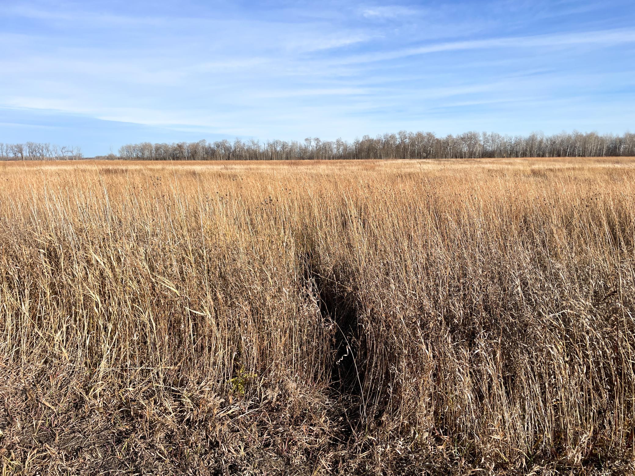 Tbd Hwy 10 Property Photo 24
