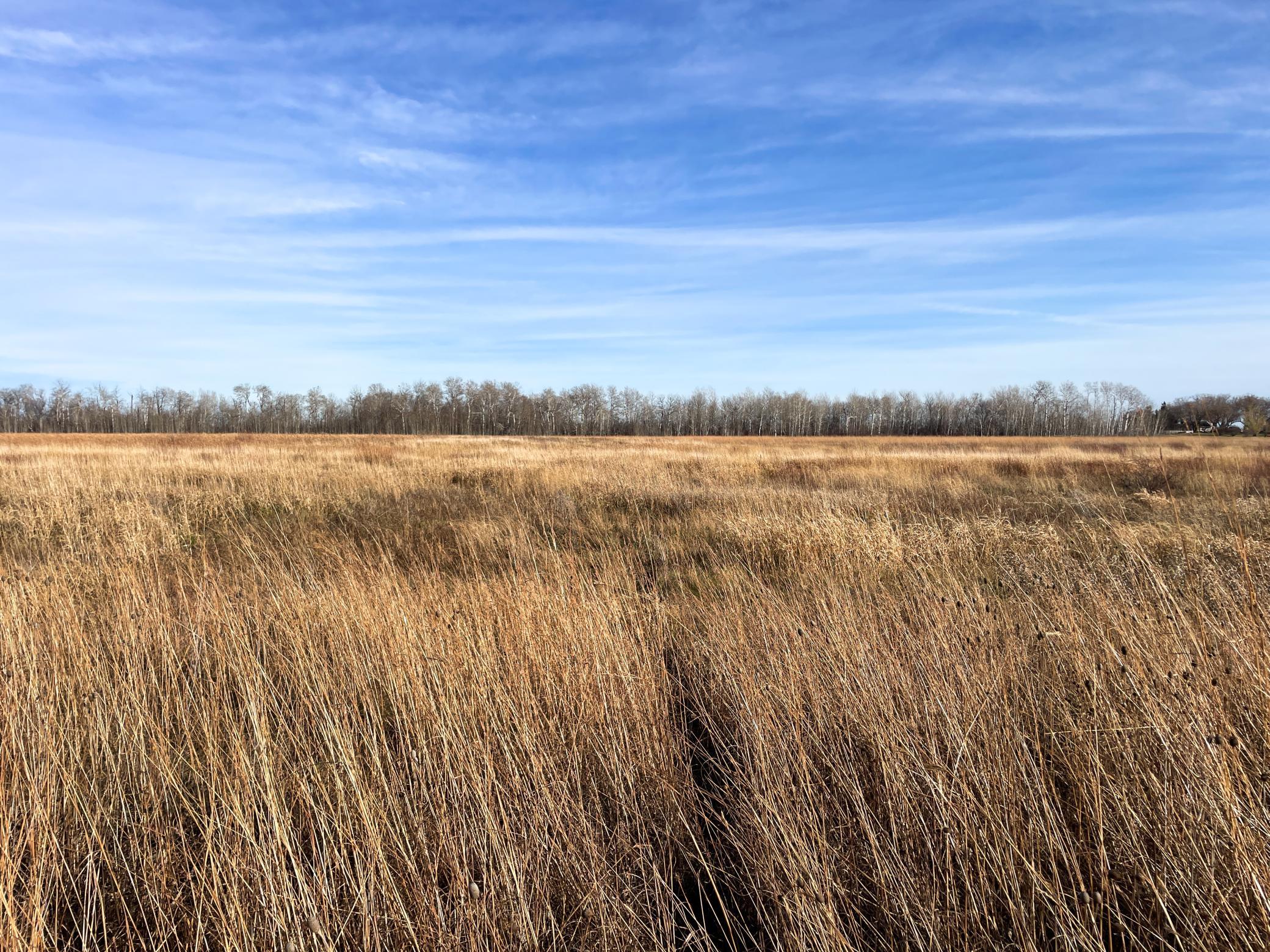 Tbd Hwy 10 Property Photo 26