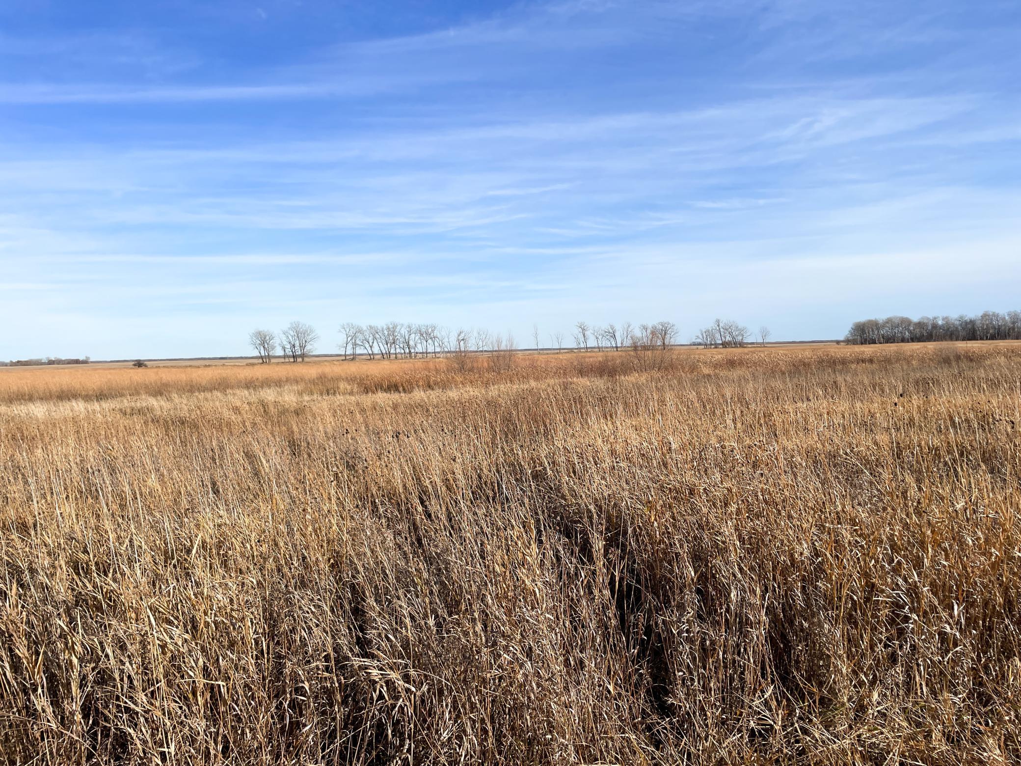 Tbd Hwy 10 Property Photo 36