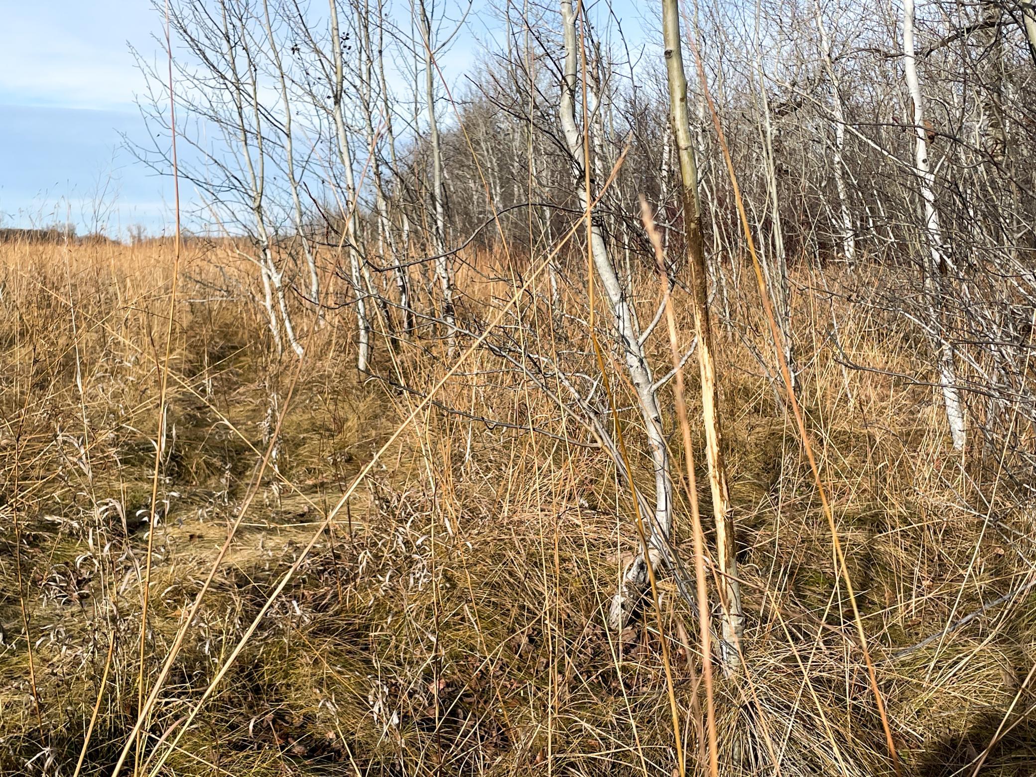 Tbd Hwy 10 Property Photo 38