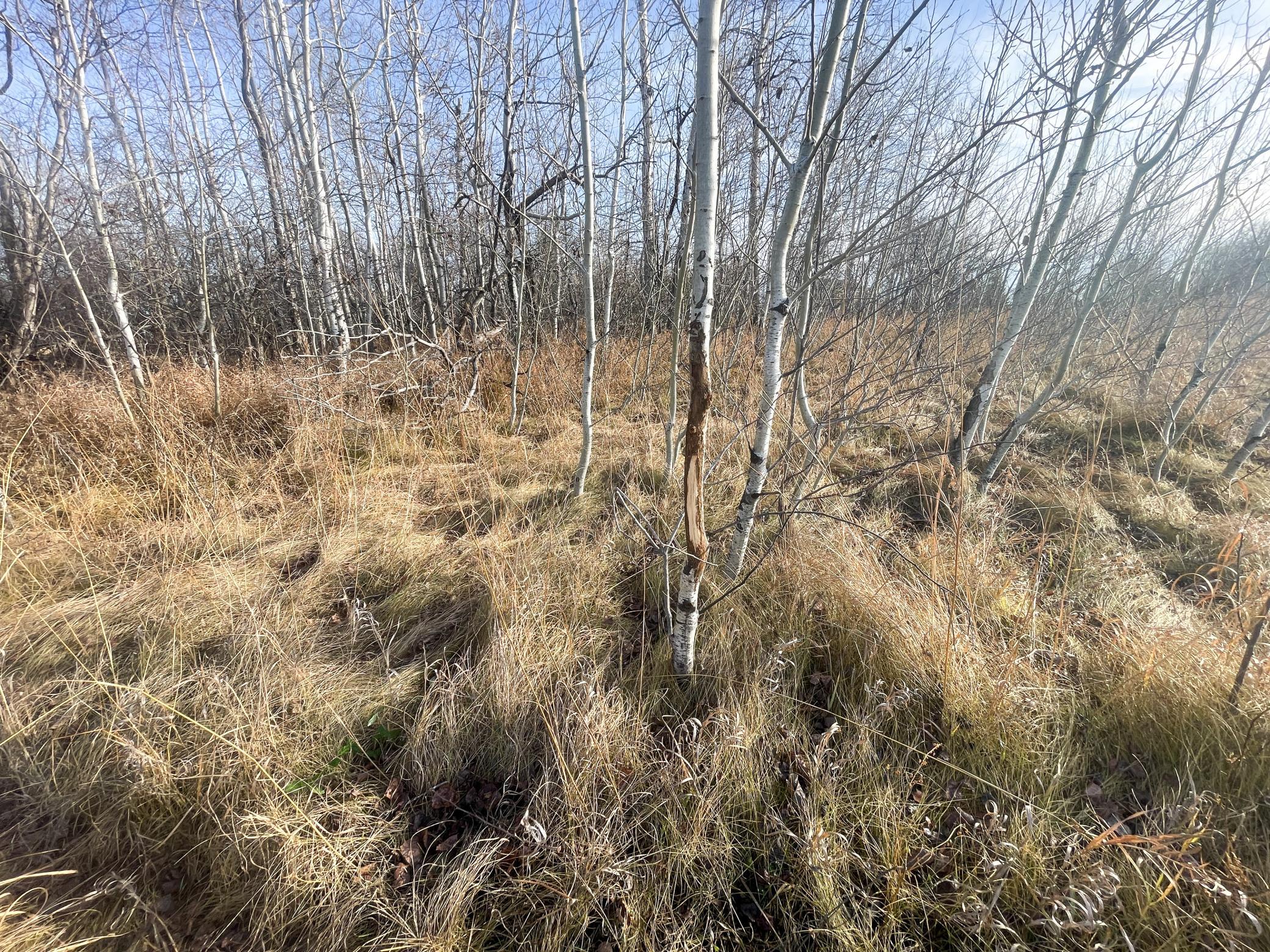 Tbd Hwy 10 Property Photo 39