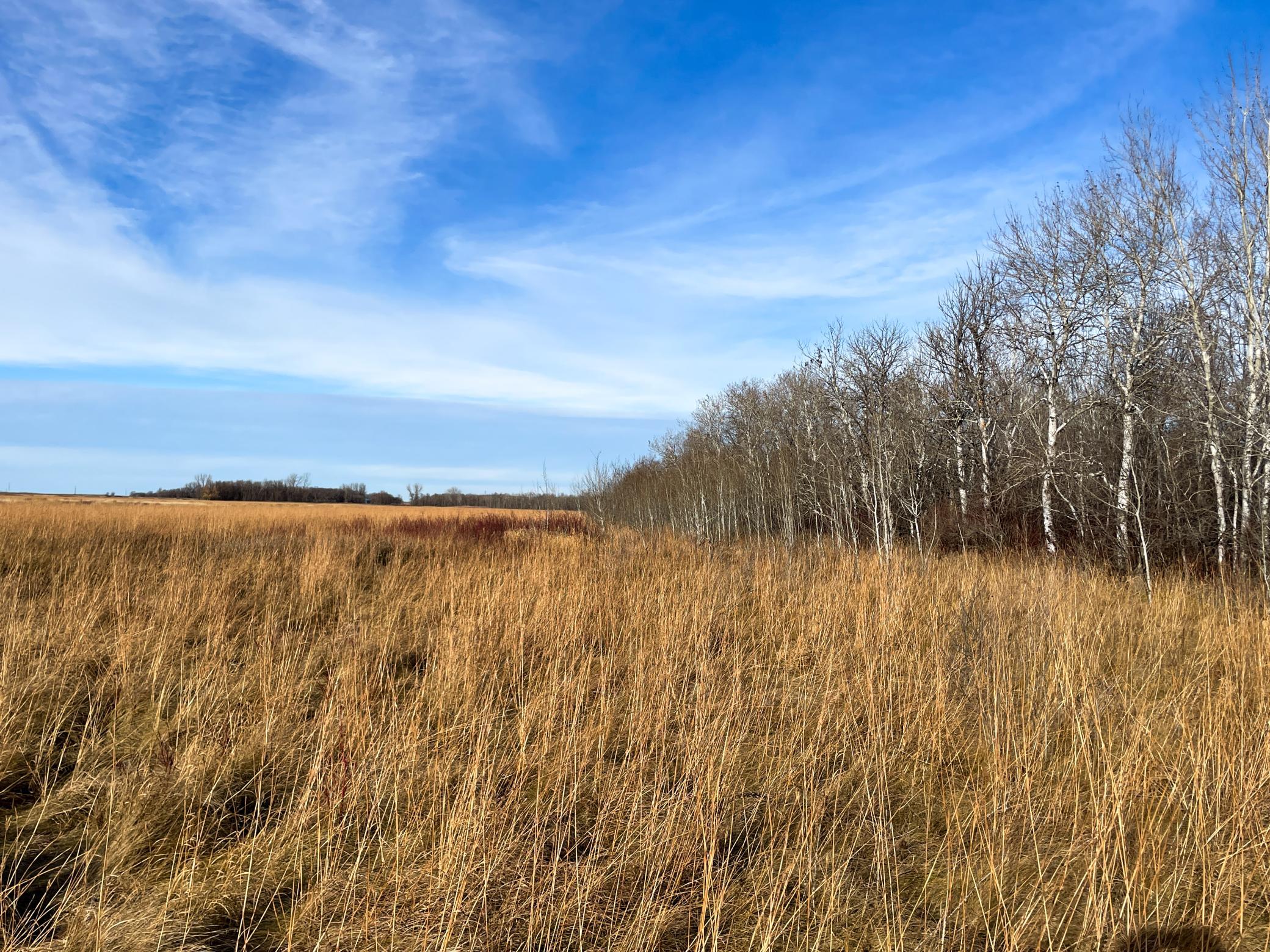 Tbd Hwy 10 Property Photo 40