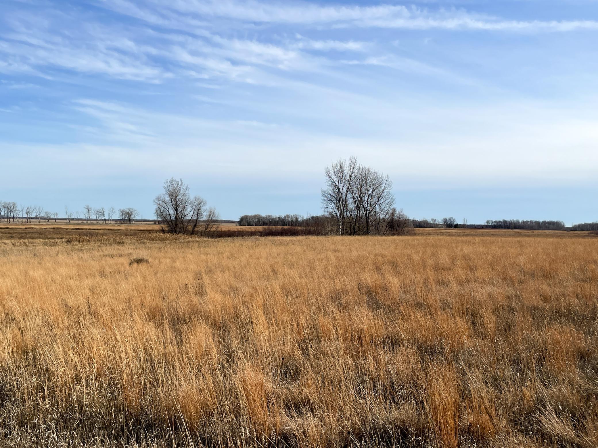 Tbd Hwy 10 Property Photo 48
