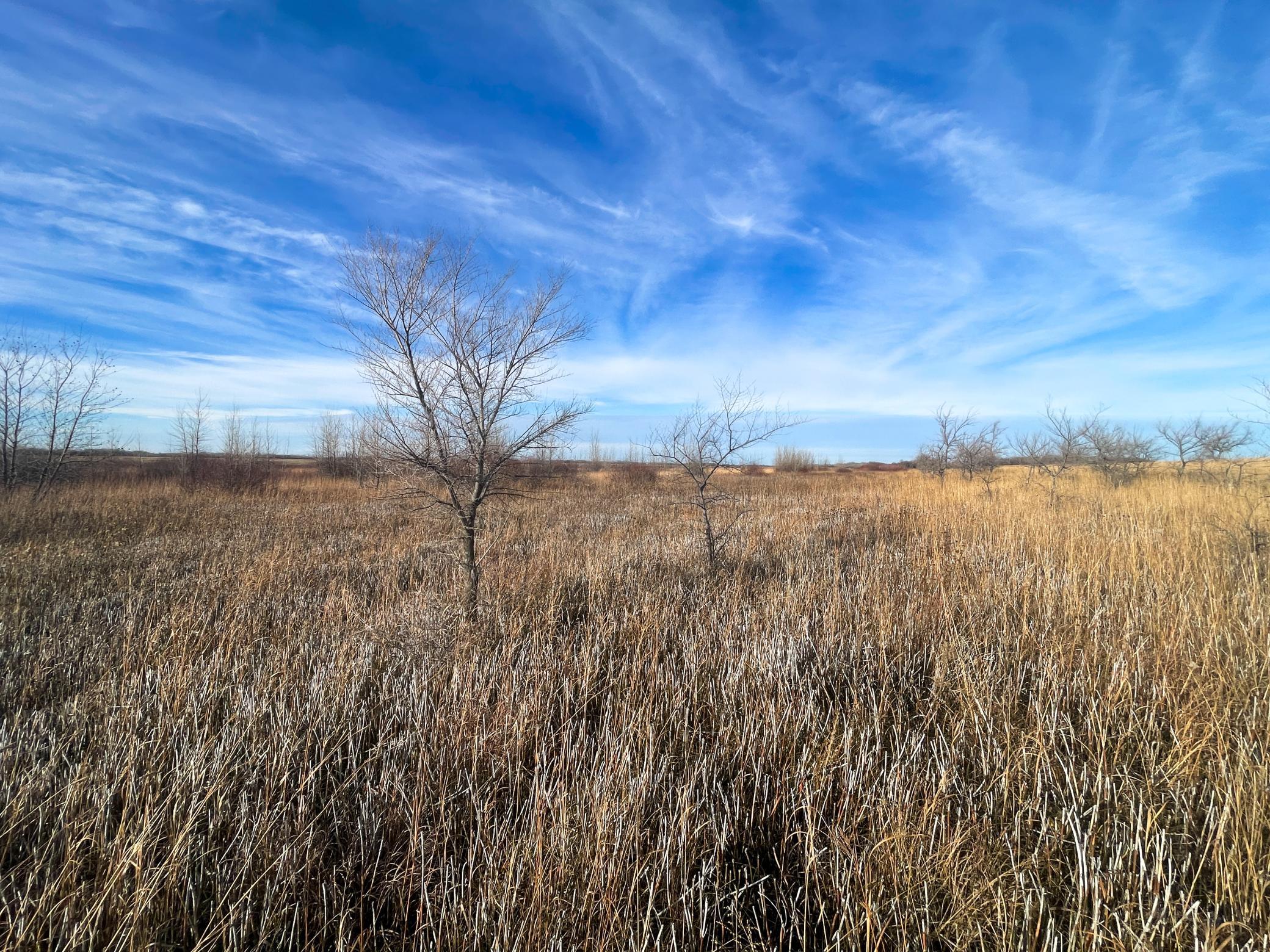 Tbd Hwy 10 Property Photo 49