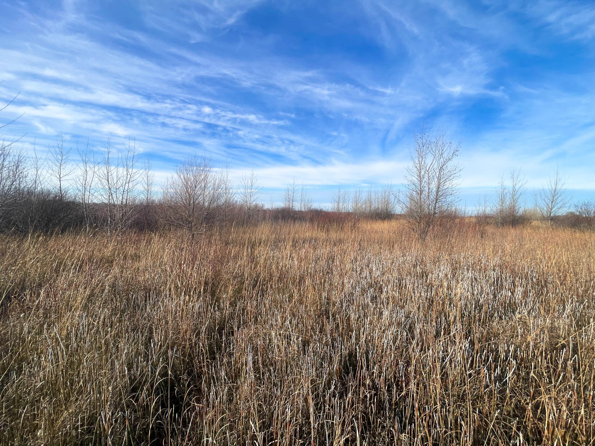 Tbd Hwy 10 Property Photo 50