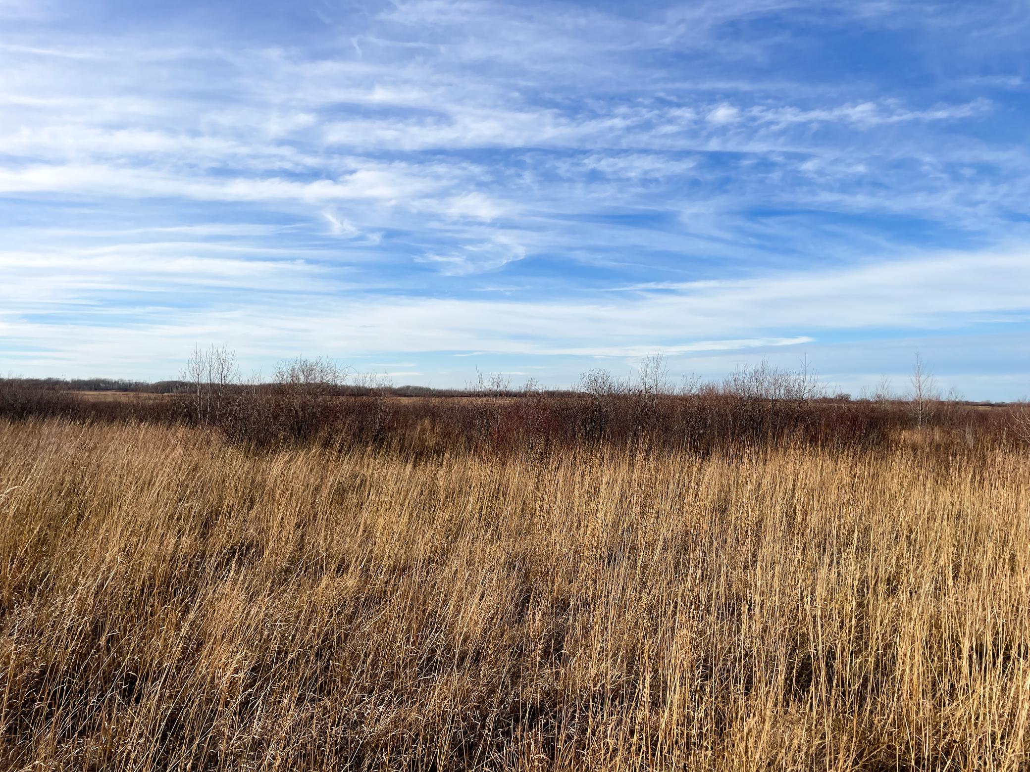 Tbd Hwy 10 Property Photo 52