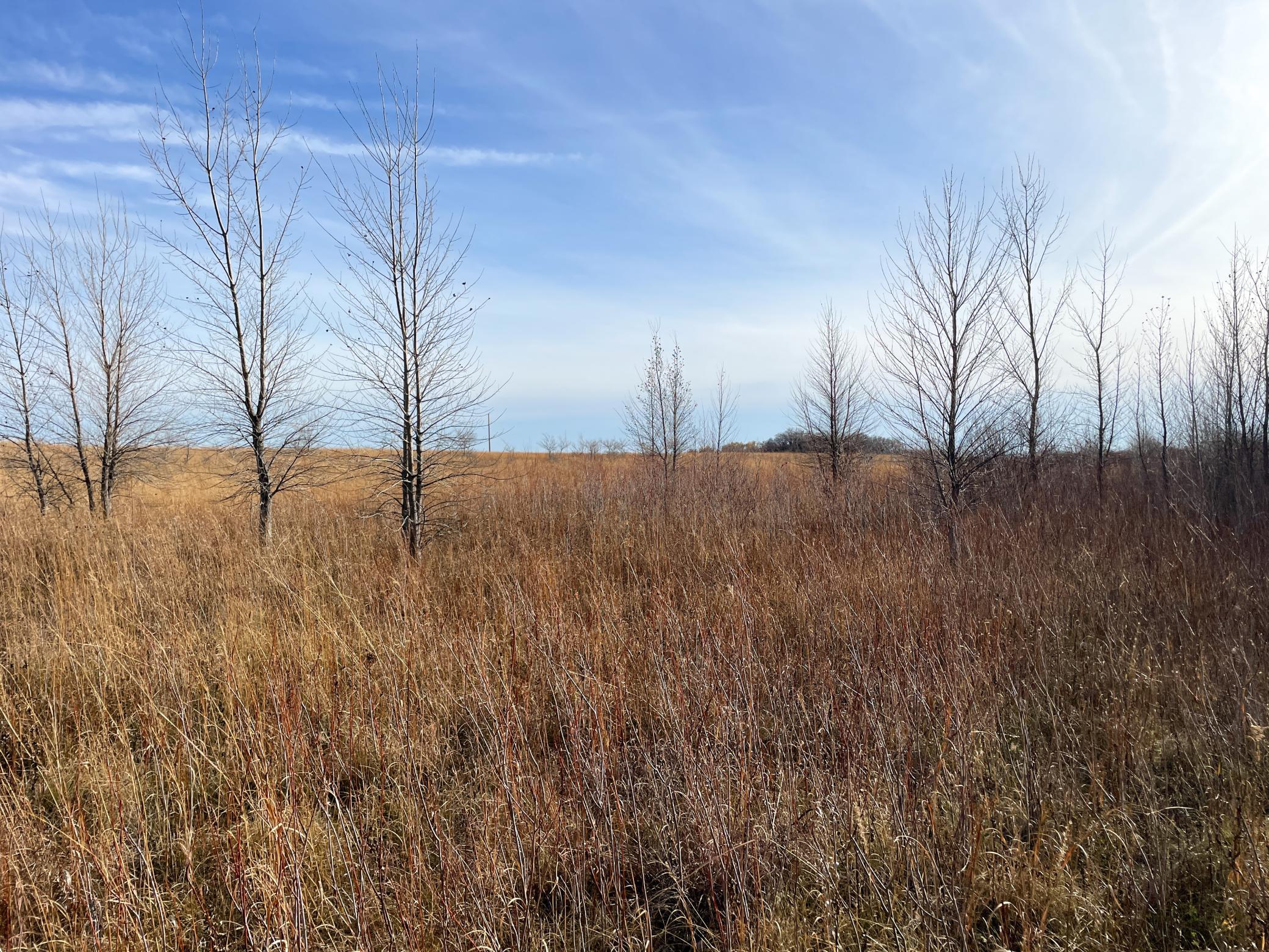 Tbd Hwy 10 Property Photo 53