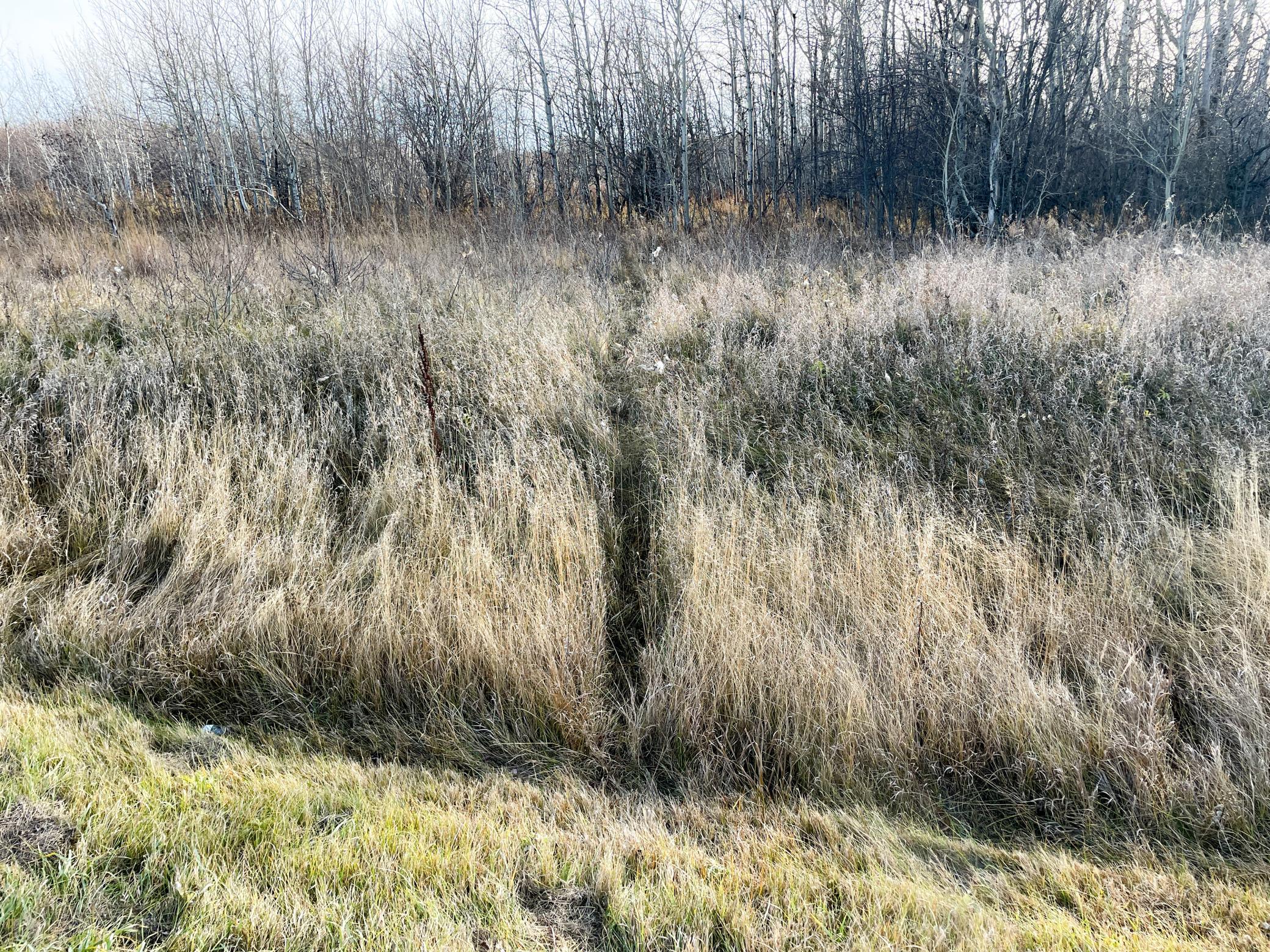 Tbd Hwy 10 Property Photo 55