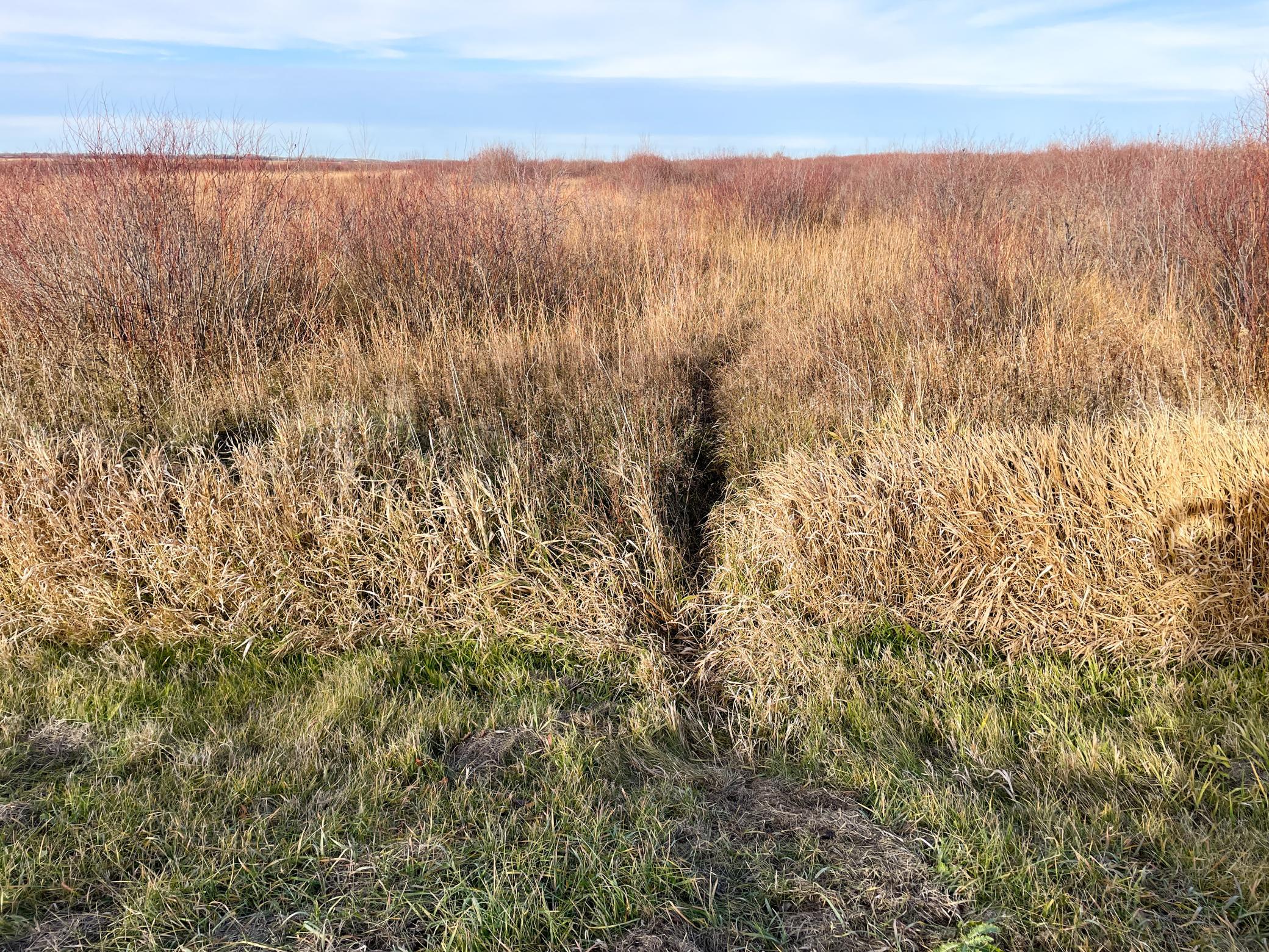 Tbd Hwy 10 Property Photo 56