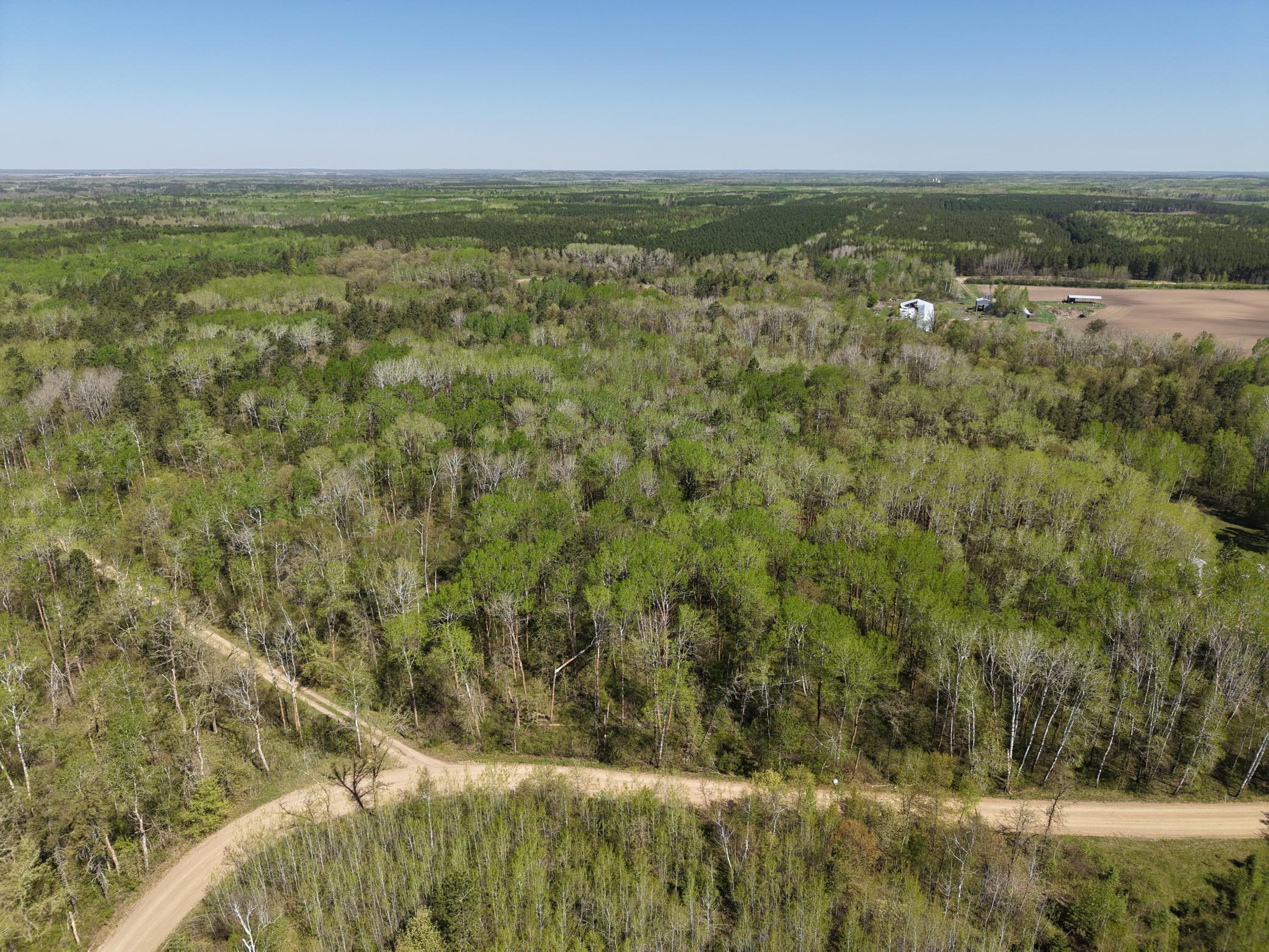 Tbd 8 Bog Lake Trail Property Photo 3