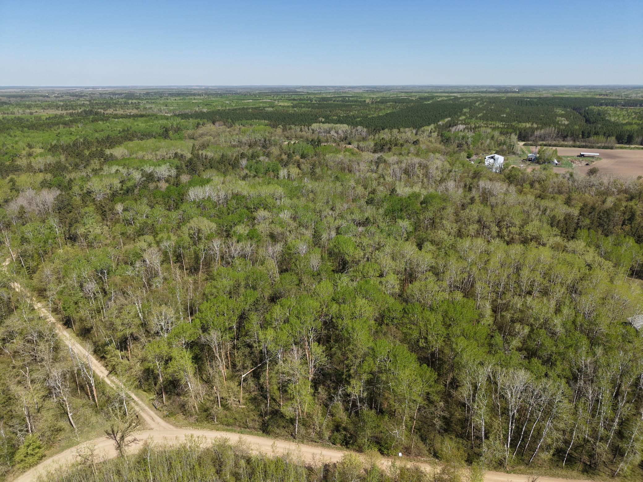 Tbd 8 Bog Lake Trail Property Photo 4