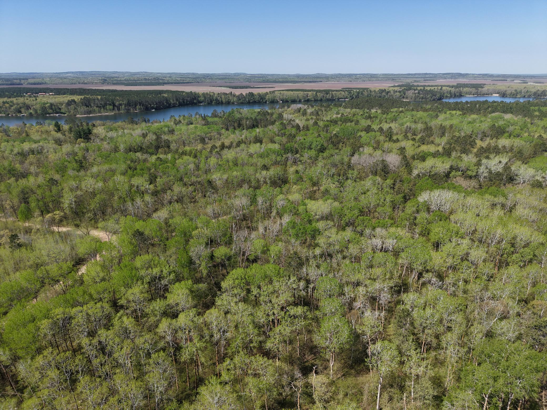 Tbd 8 Bog Lake Trail Property Photo 5