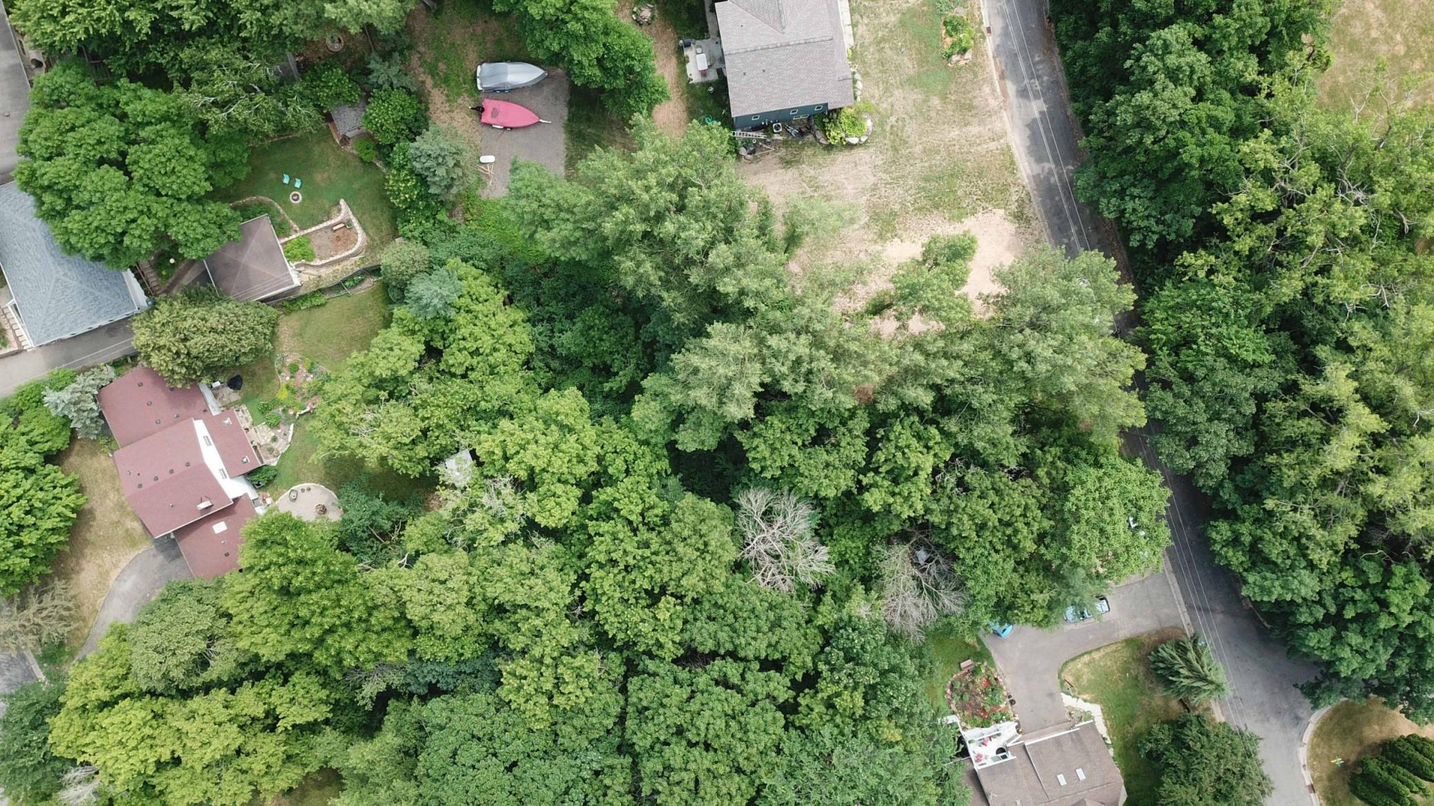2113 Oakridge Street Property Photo 6